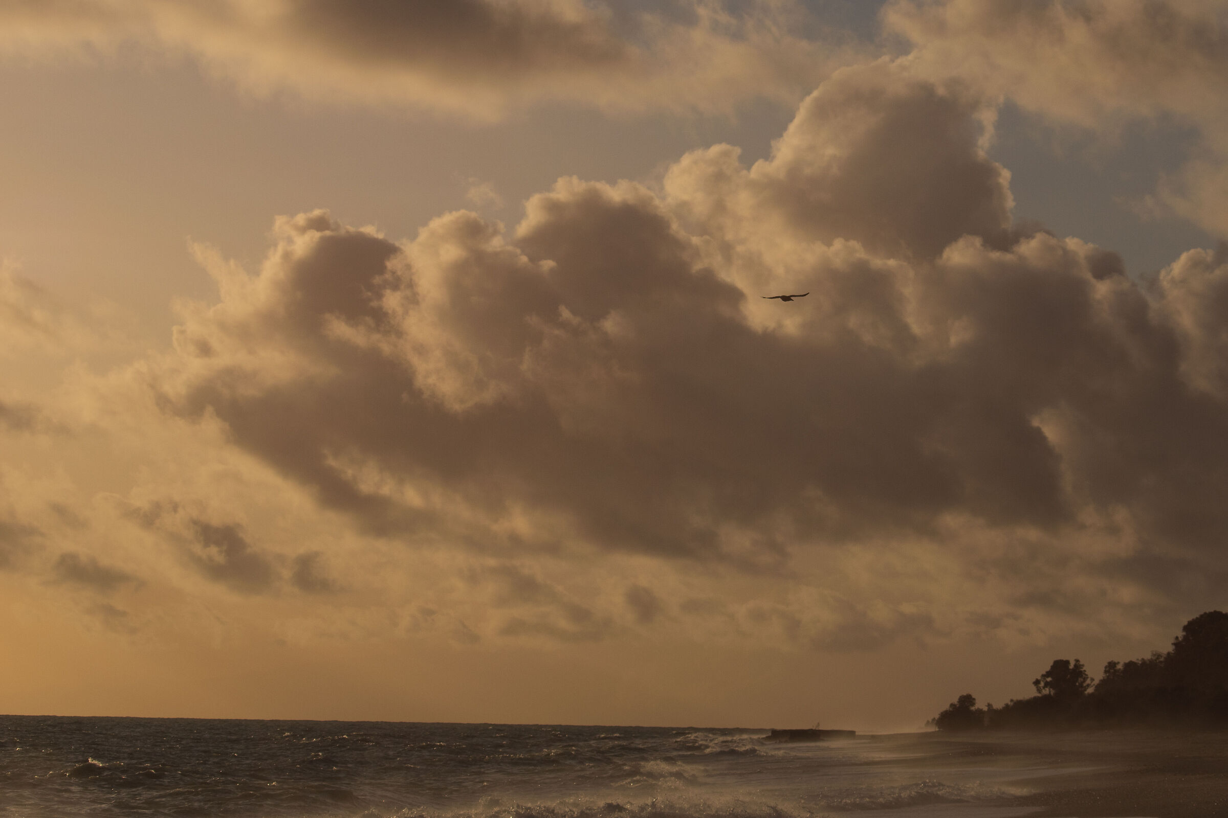 Una presunta libertà