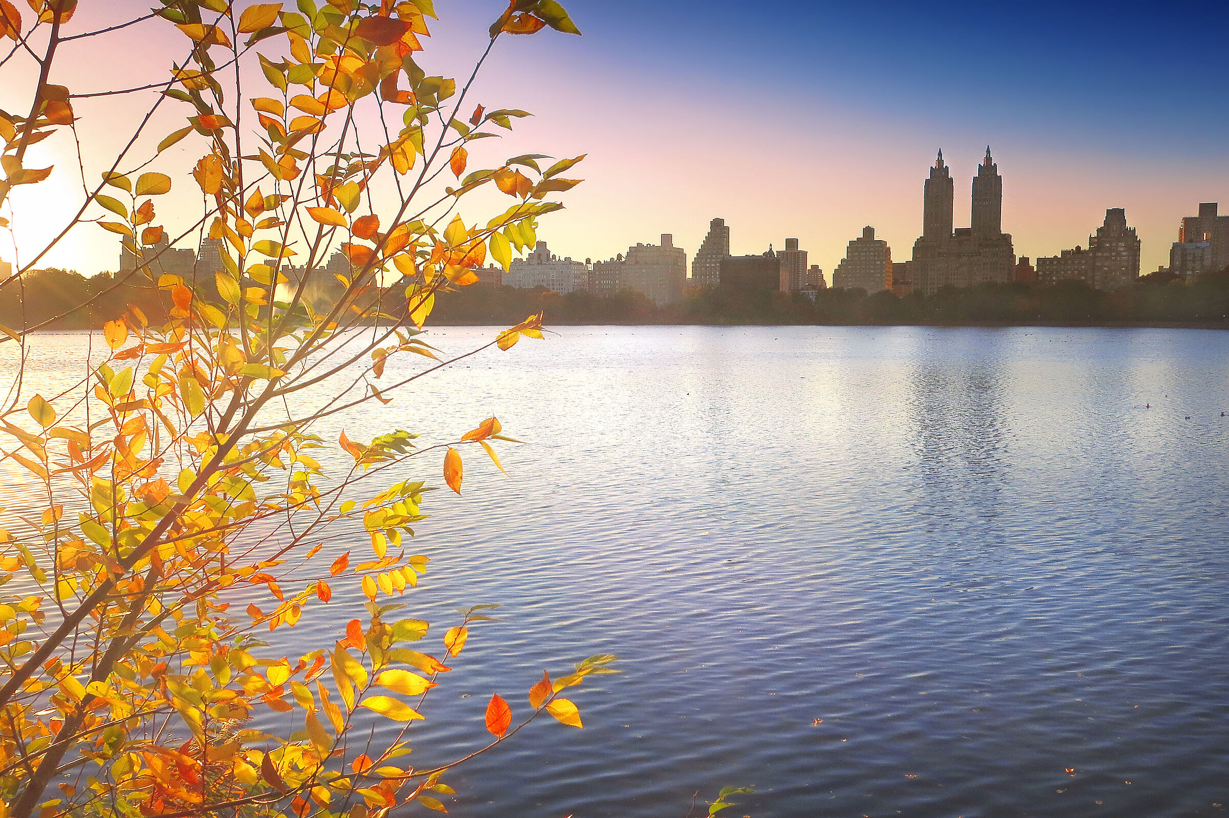 ~~ il paradiso può attendere ~~