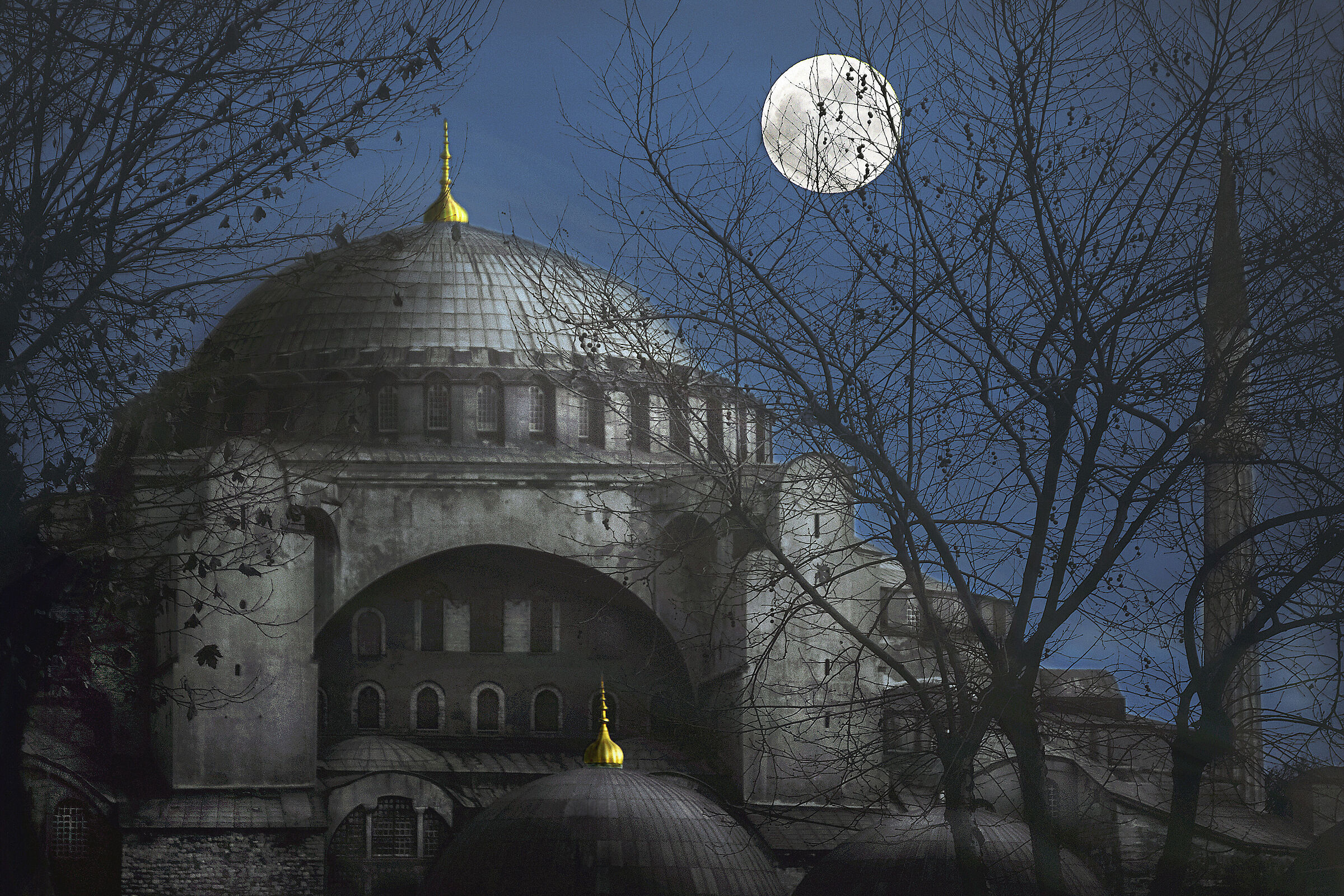 ~~ in un silenzio glorioso ~~