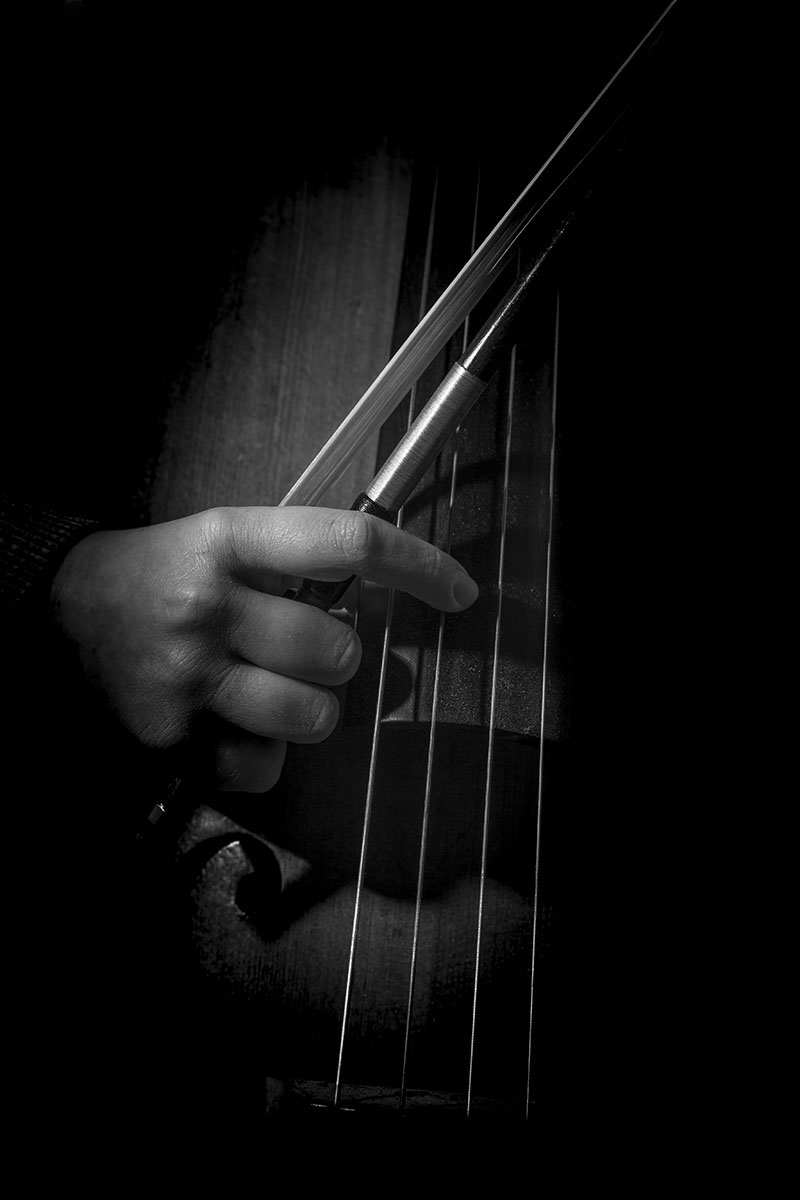 La Musica nelle mani 5