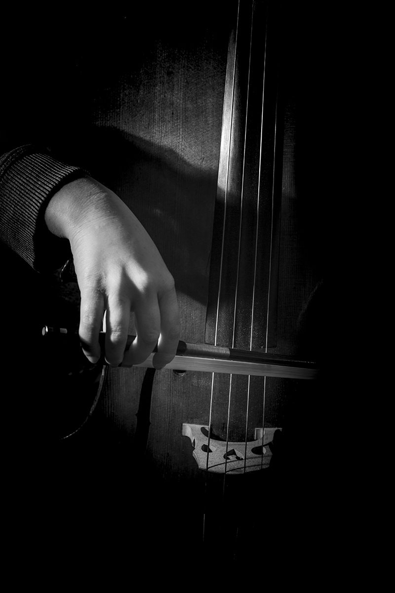 La Musica nelle mani 6