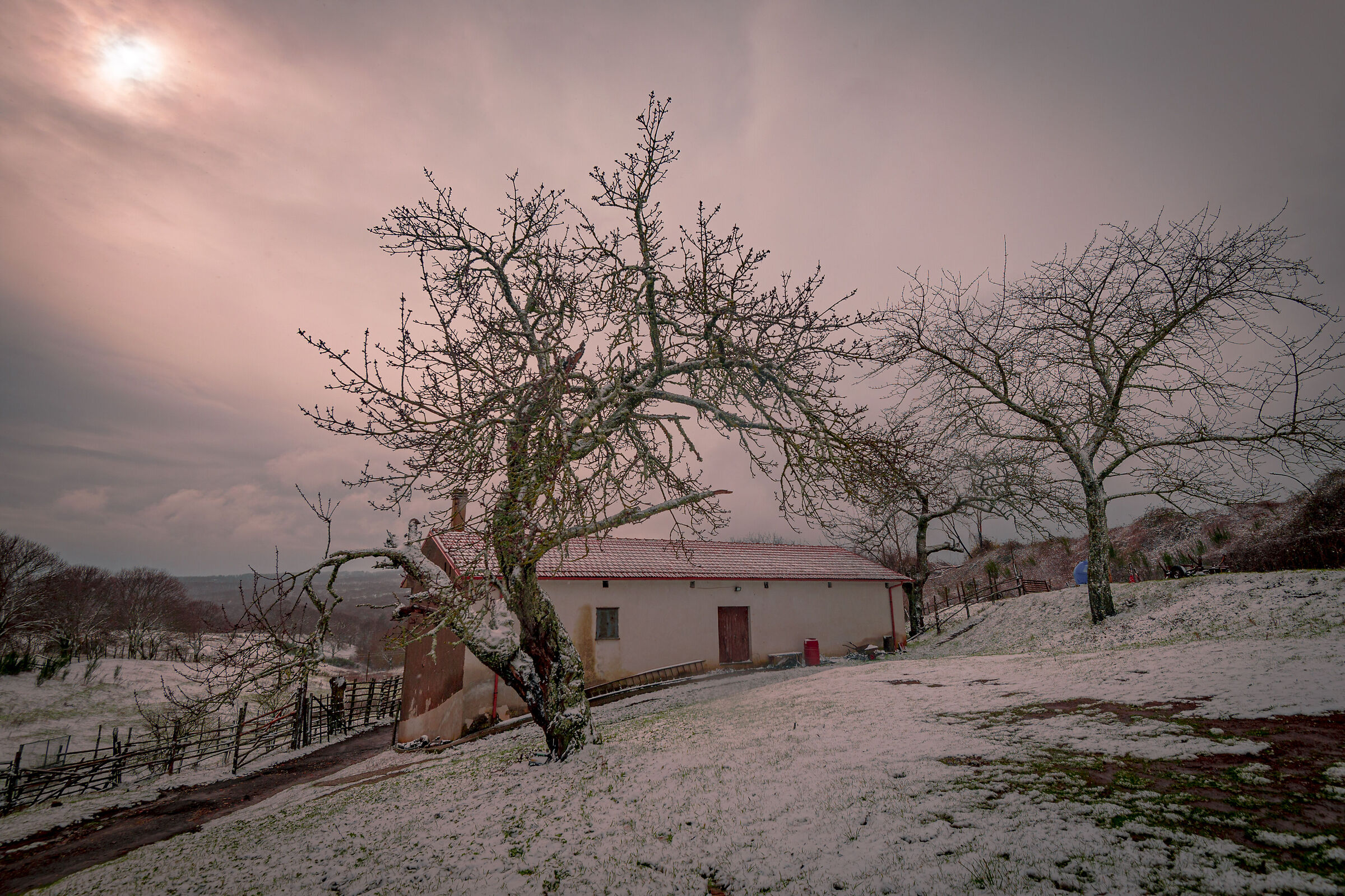 arriva la neve che ......