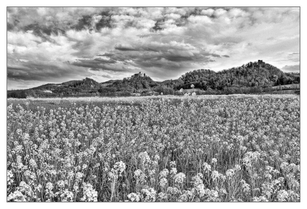 Saluti da Quattro Castella - RE