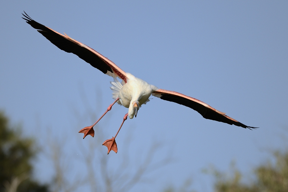 dritto negli occhi 2