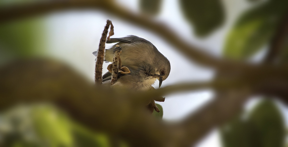 Finestra sugli innamorati