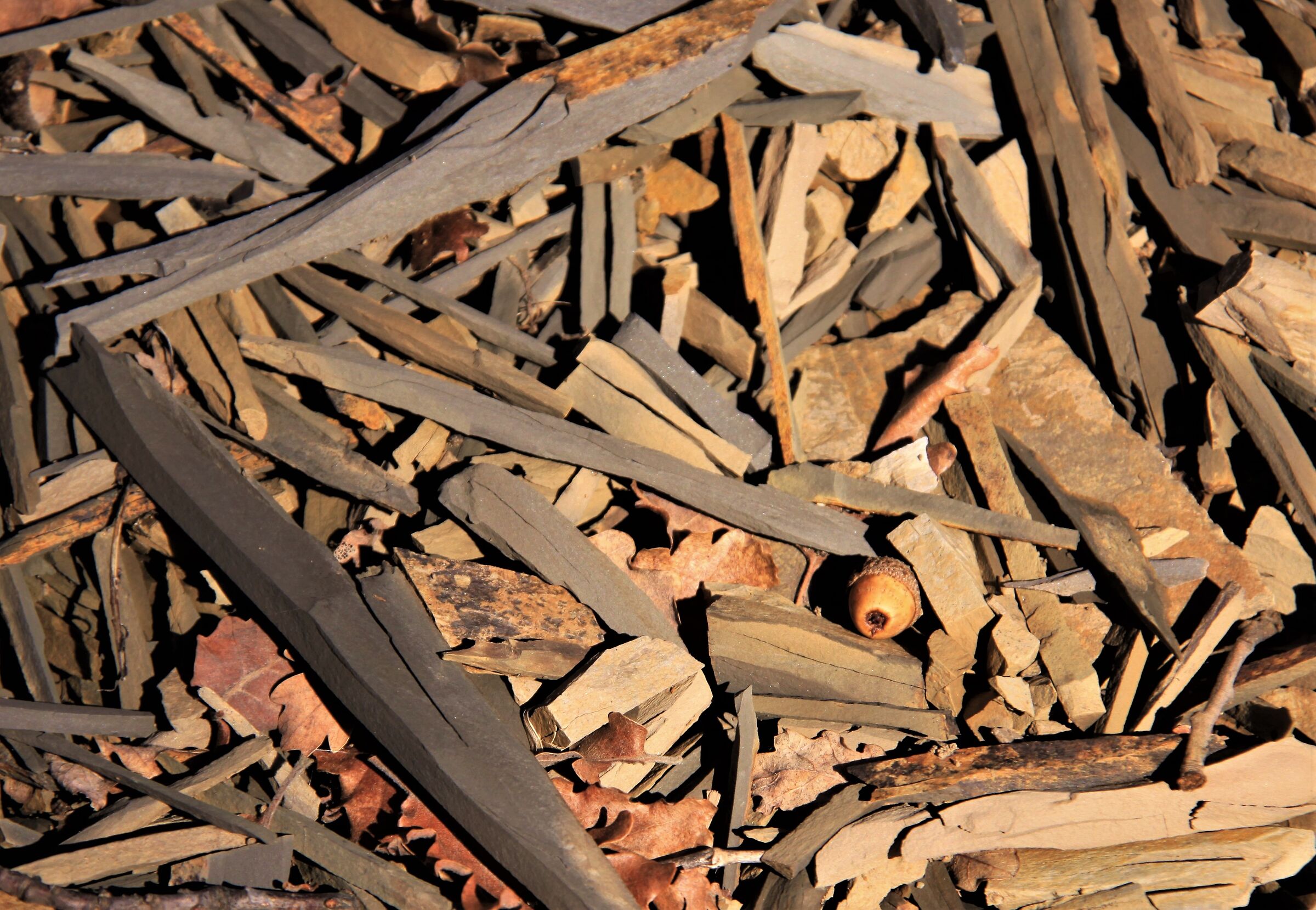 Sandstone