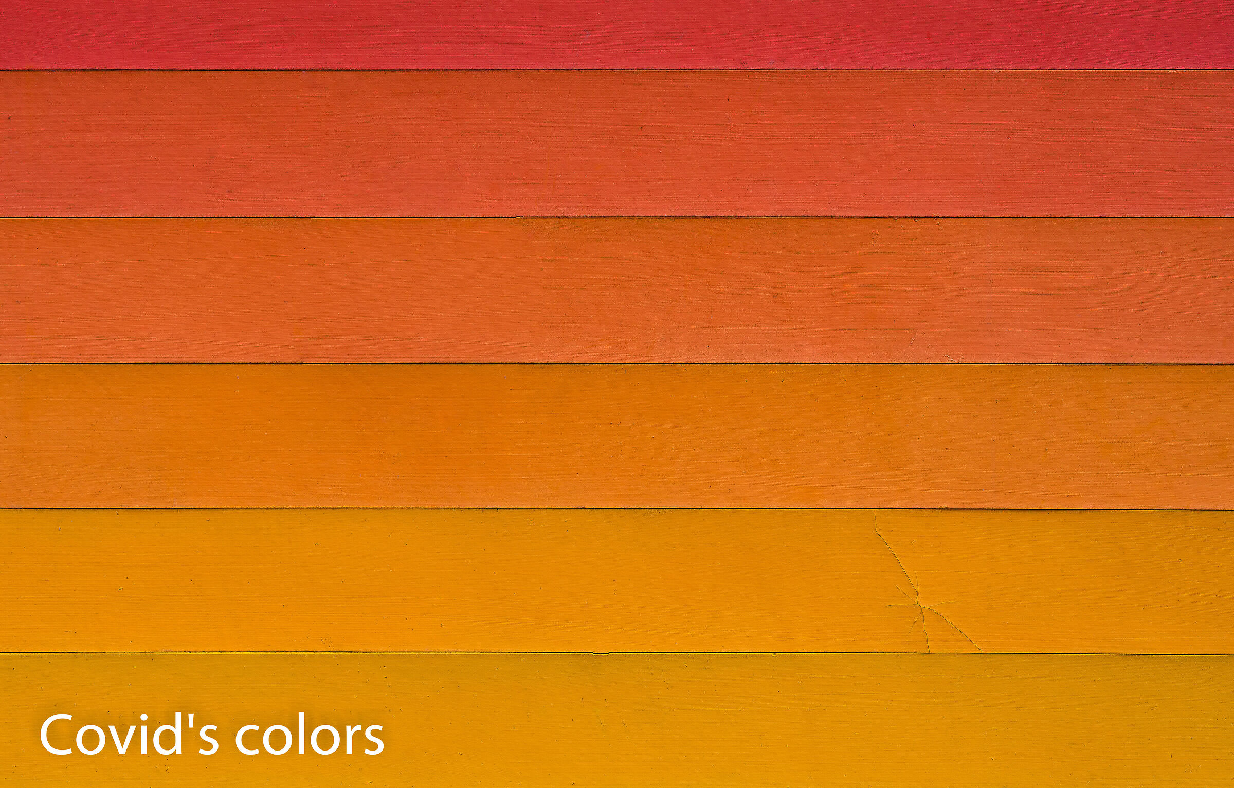 Covid's colors.............