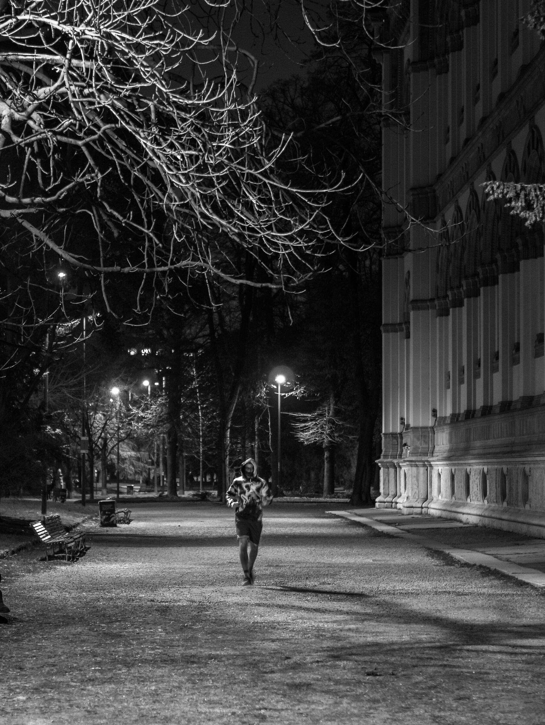 Runner - Parco Indro Montanelli - Milan