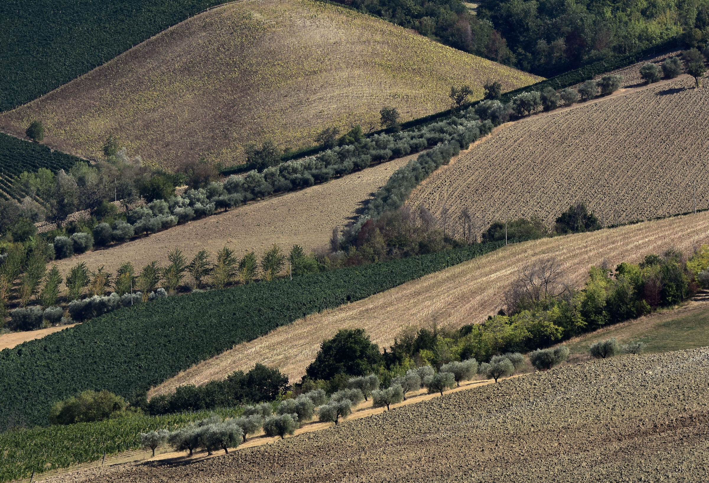 Geometries and boundaries!!!