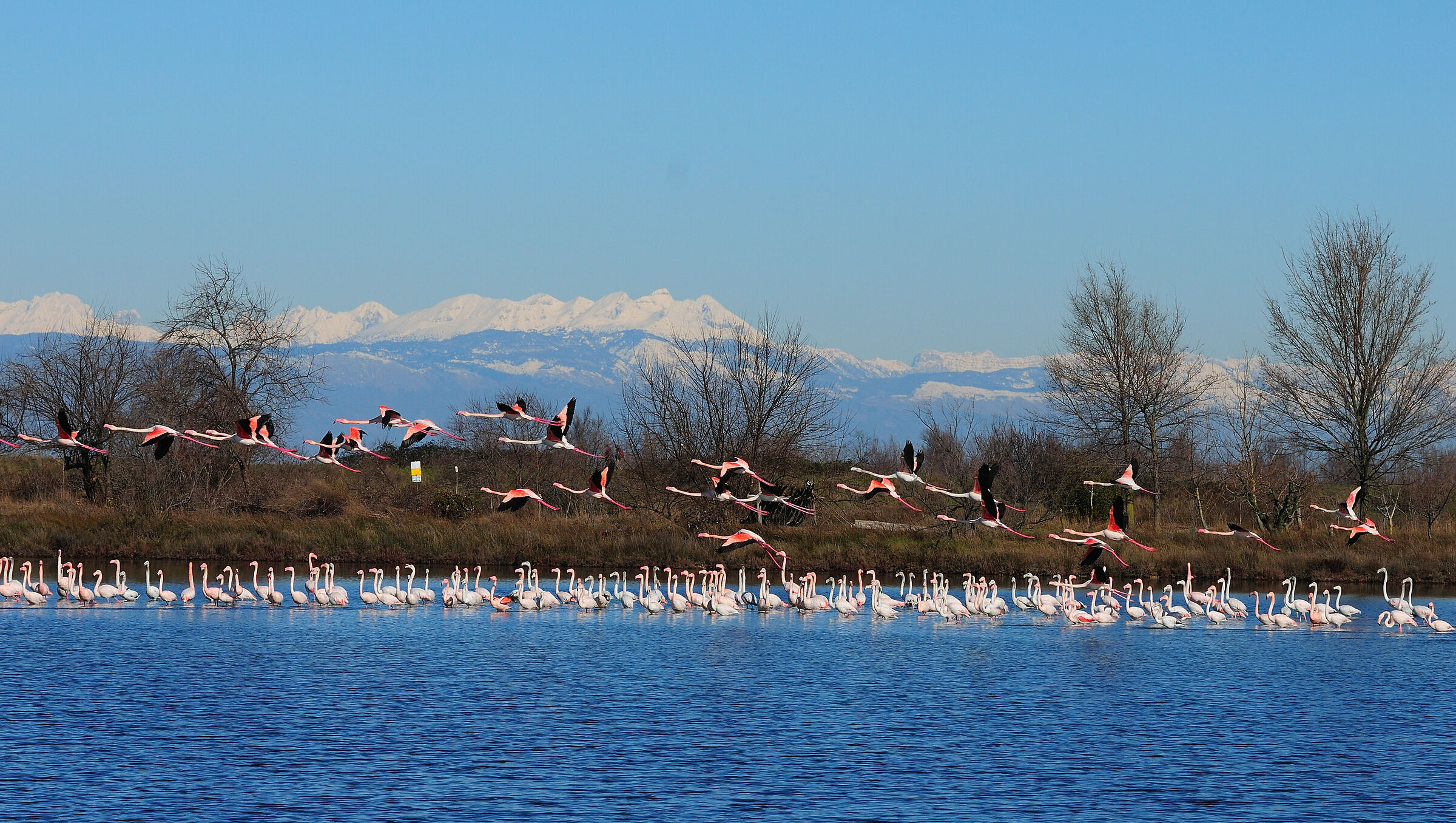 I simboli della mia terra (montagne laguna fenicotteri)