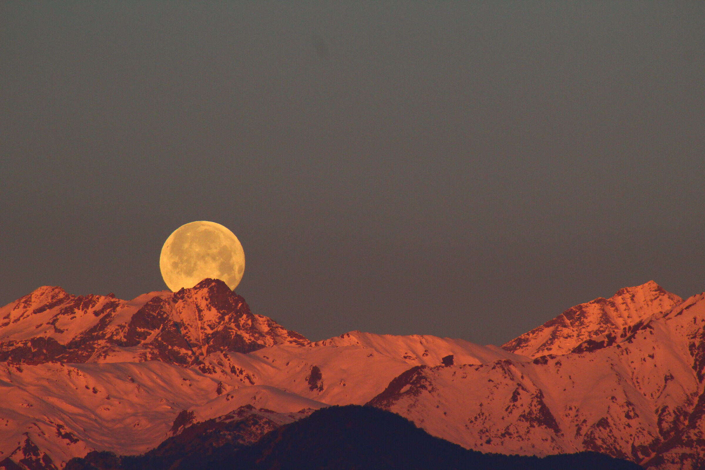 morning moon
