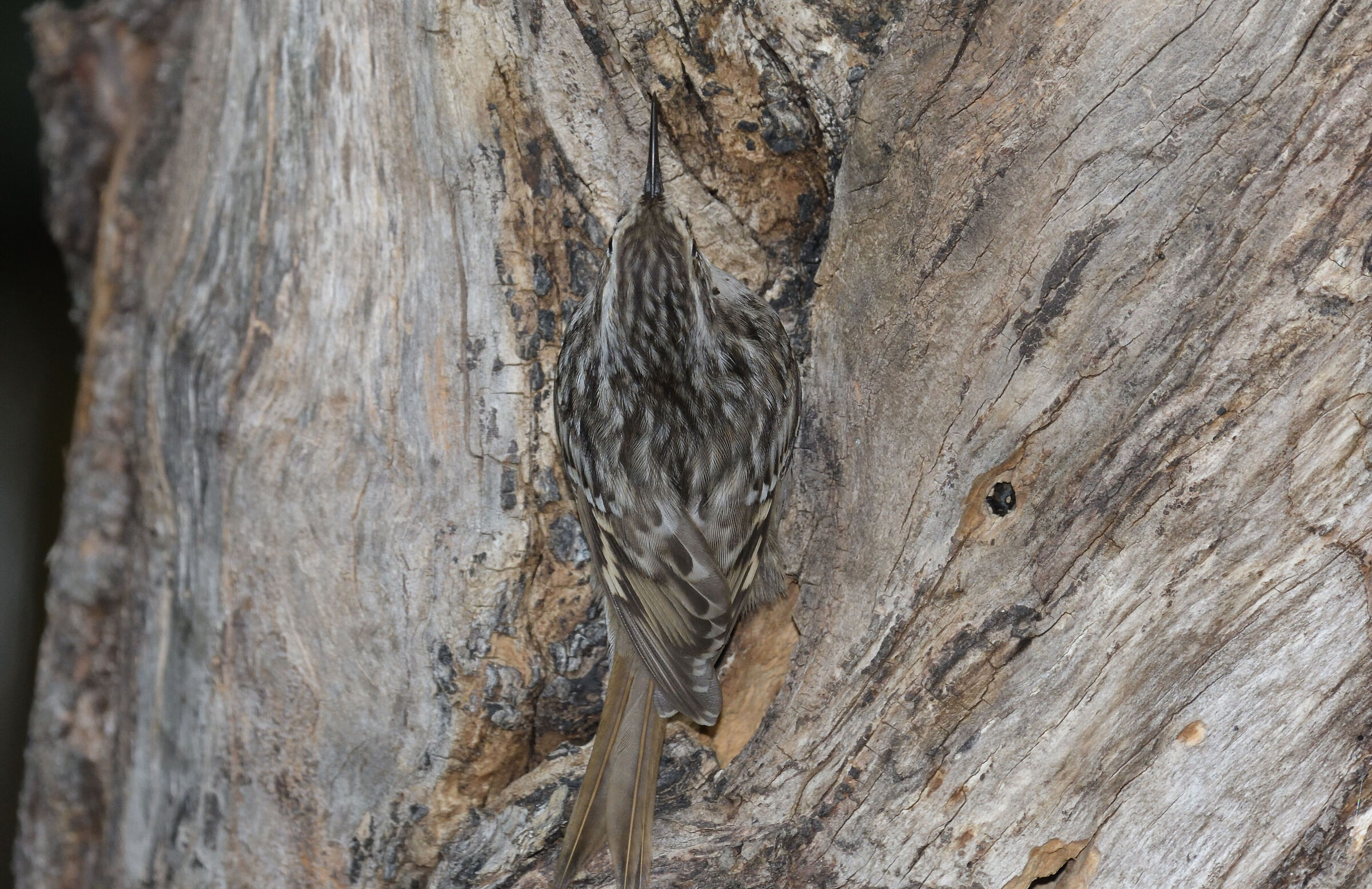 Can you see me?