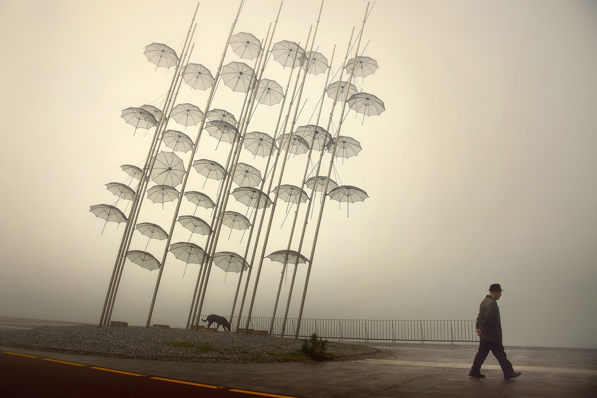 ~~ Longtime Seeking ~~