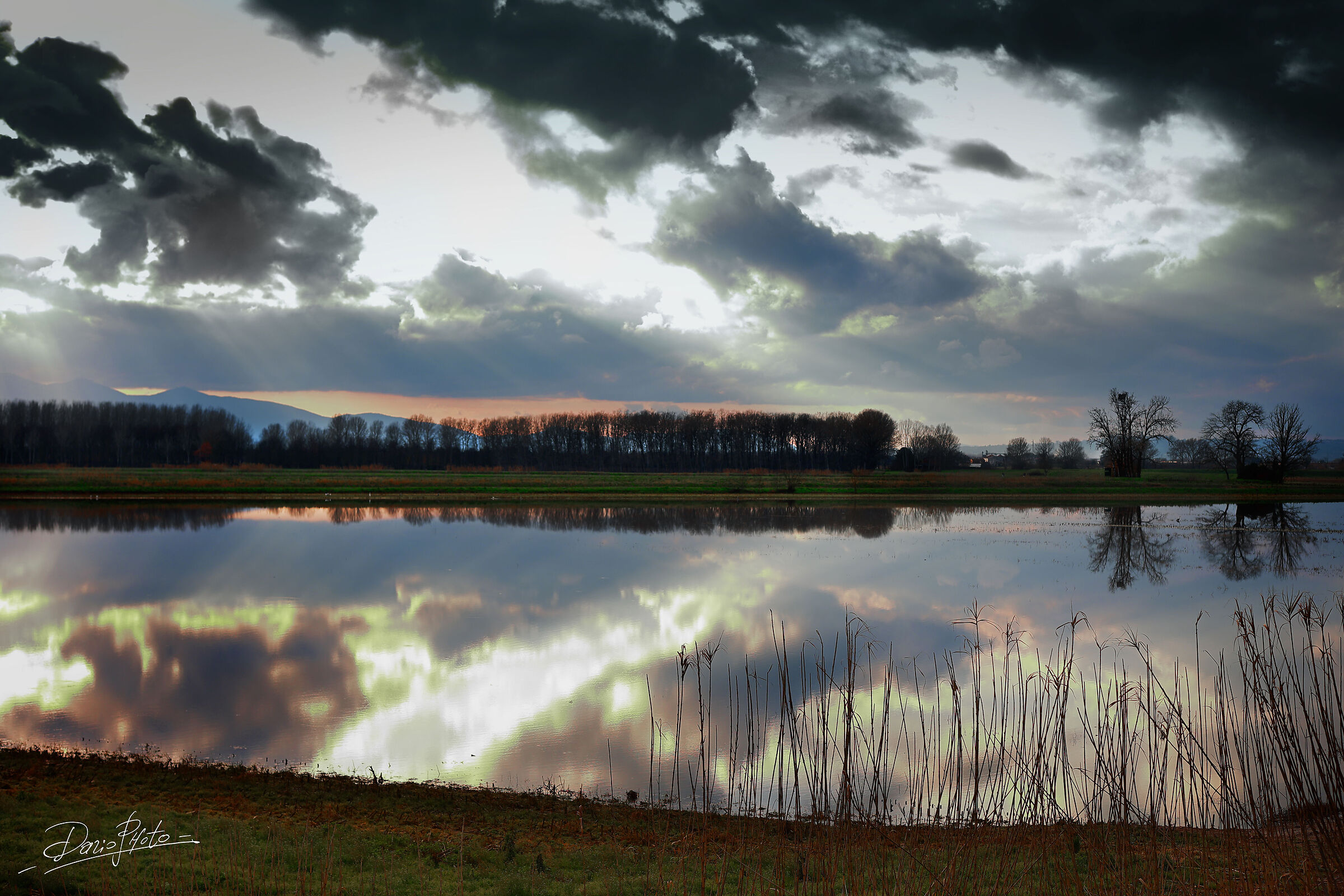 The Padule after the rains