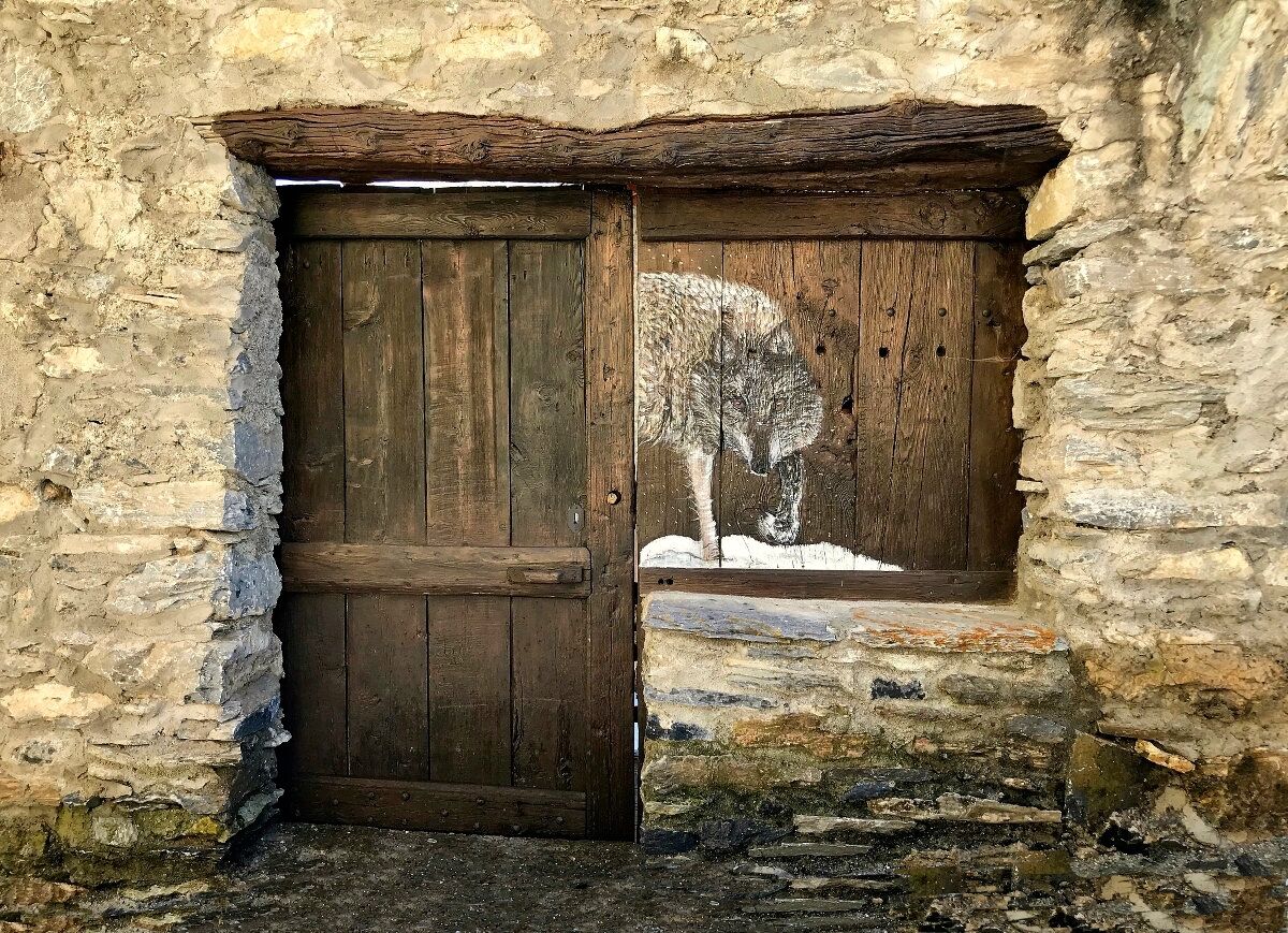 Watch out for the wolf