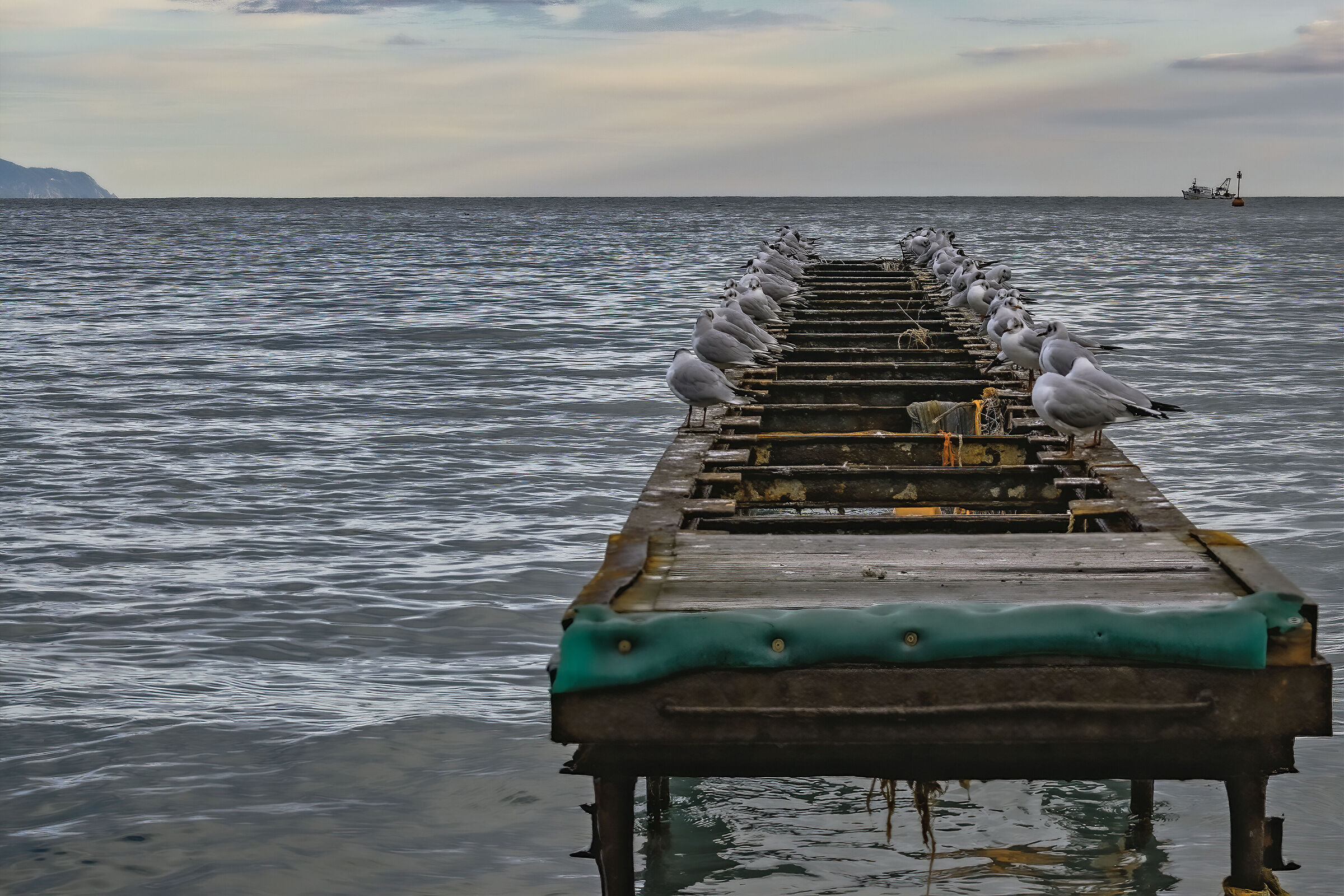 Waiting for the fishing