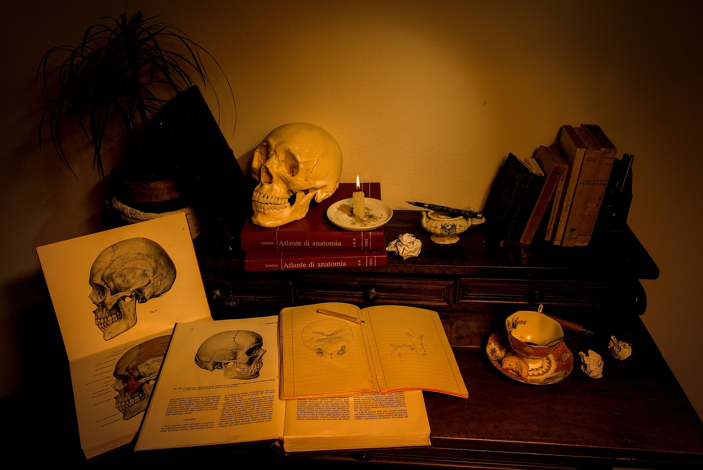 Il Tavolo dell'Anatomista