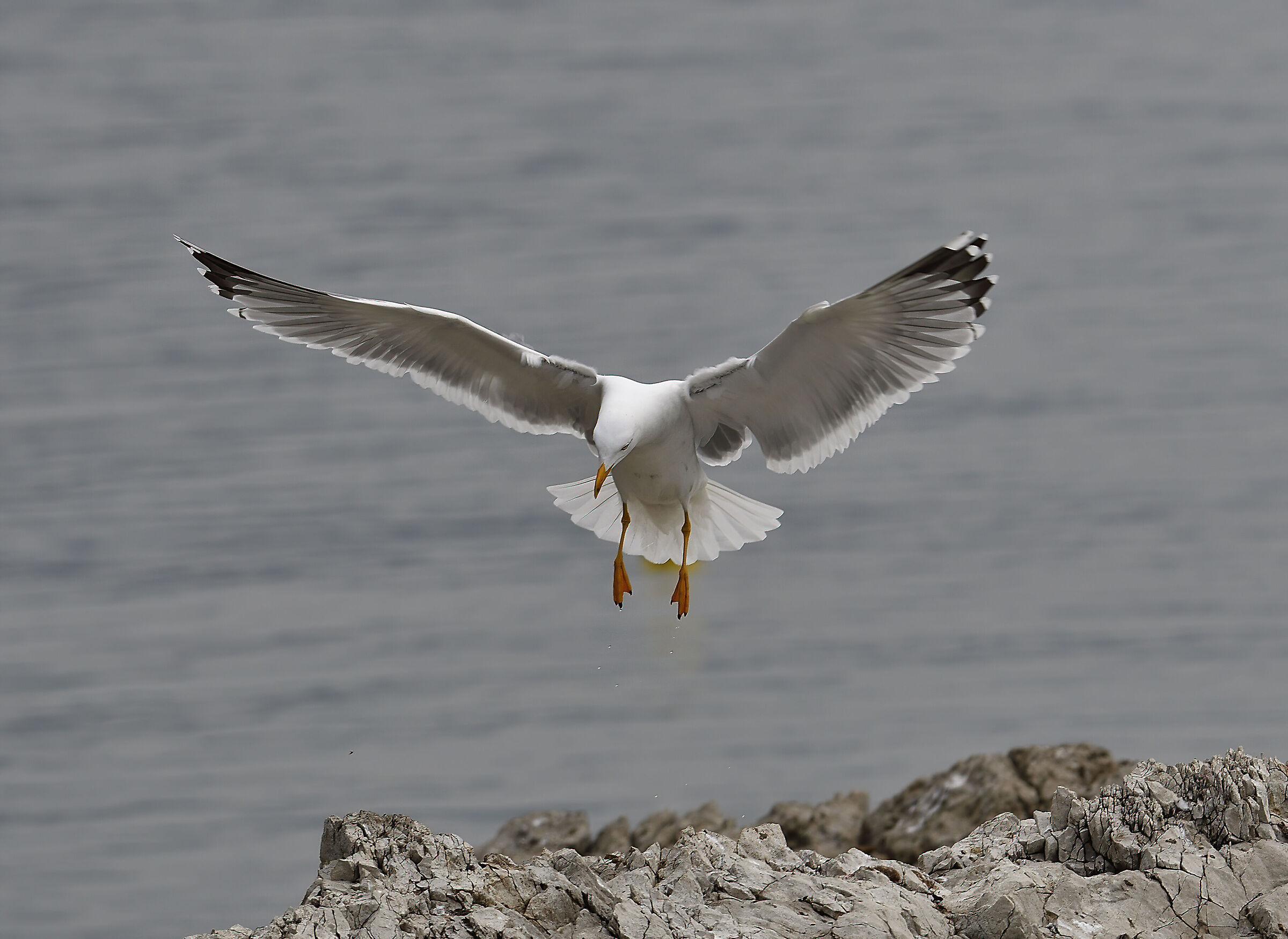 Landing