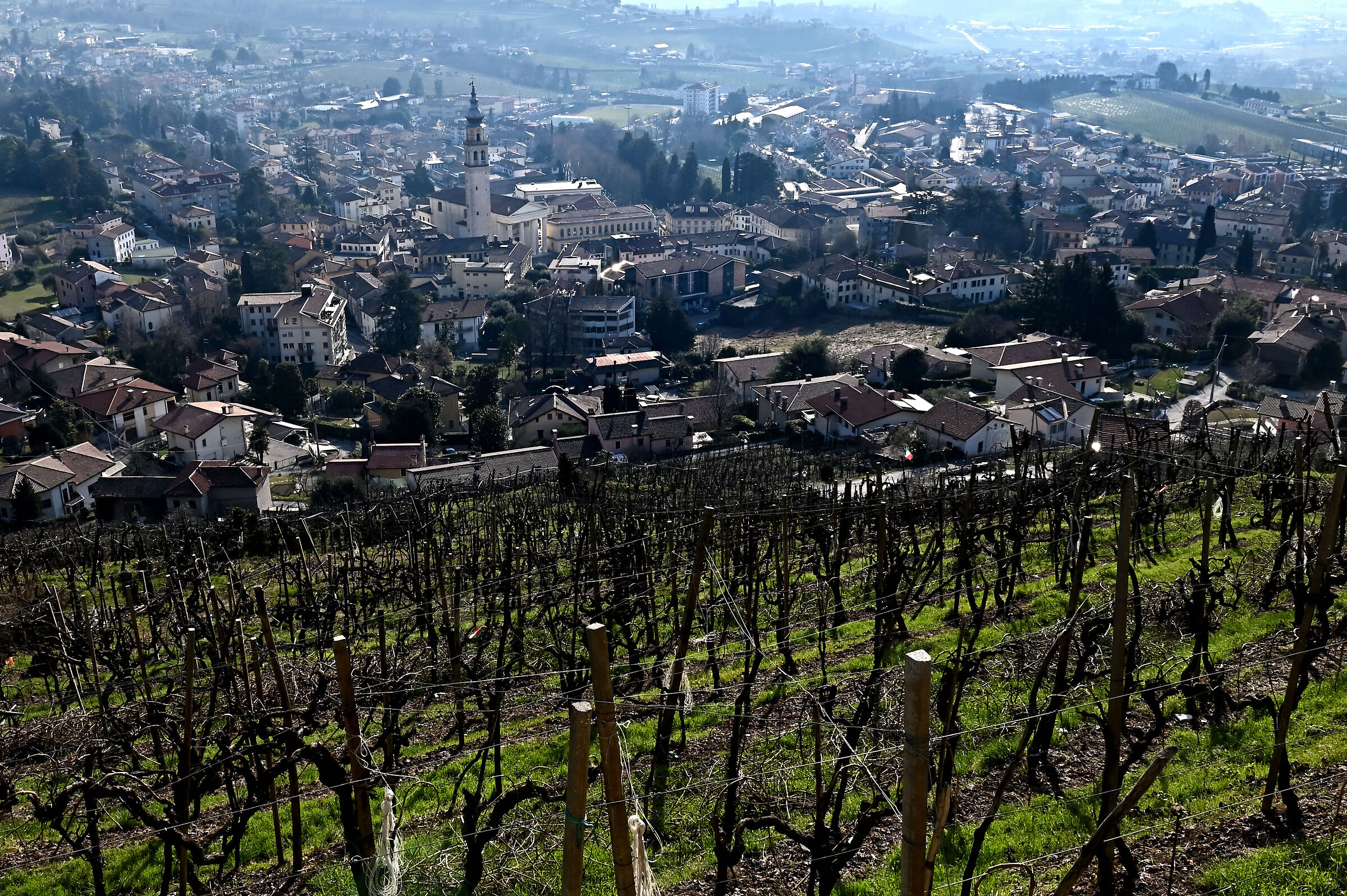 They conegliano from above...