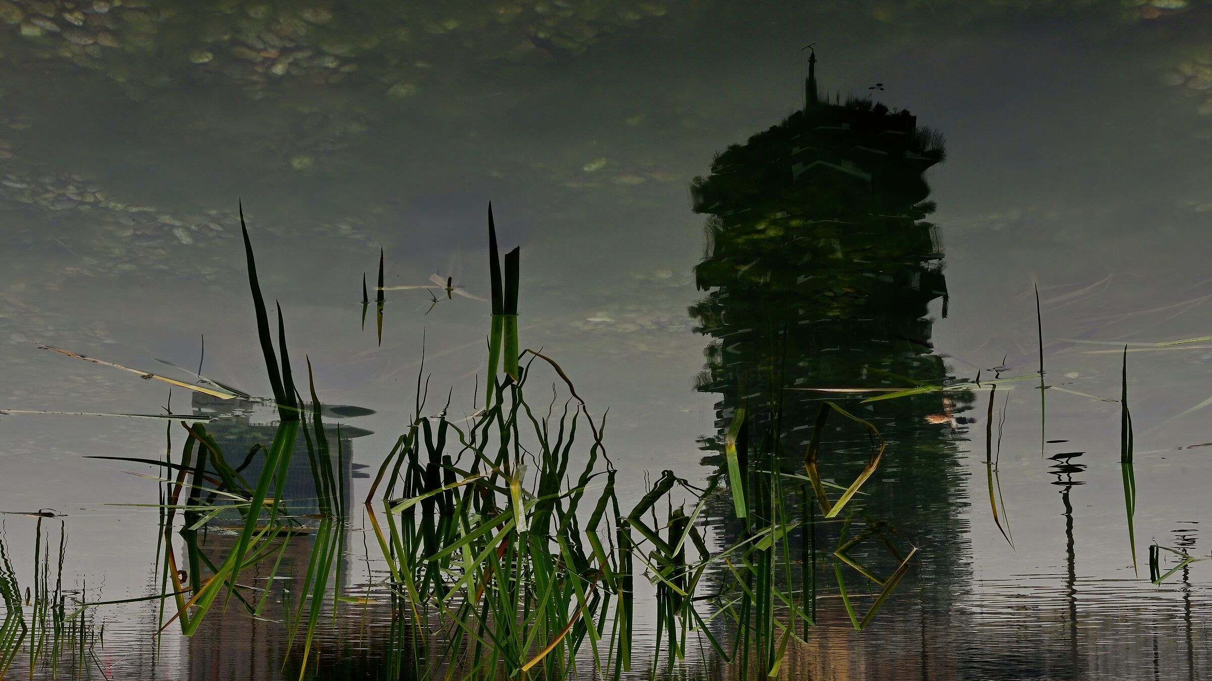 Il Bosco Verticale si specchia