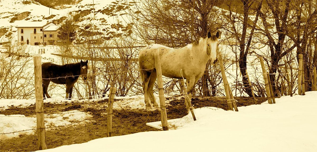 Voglia di libertà...