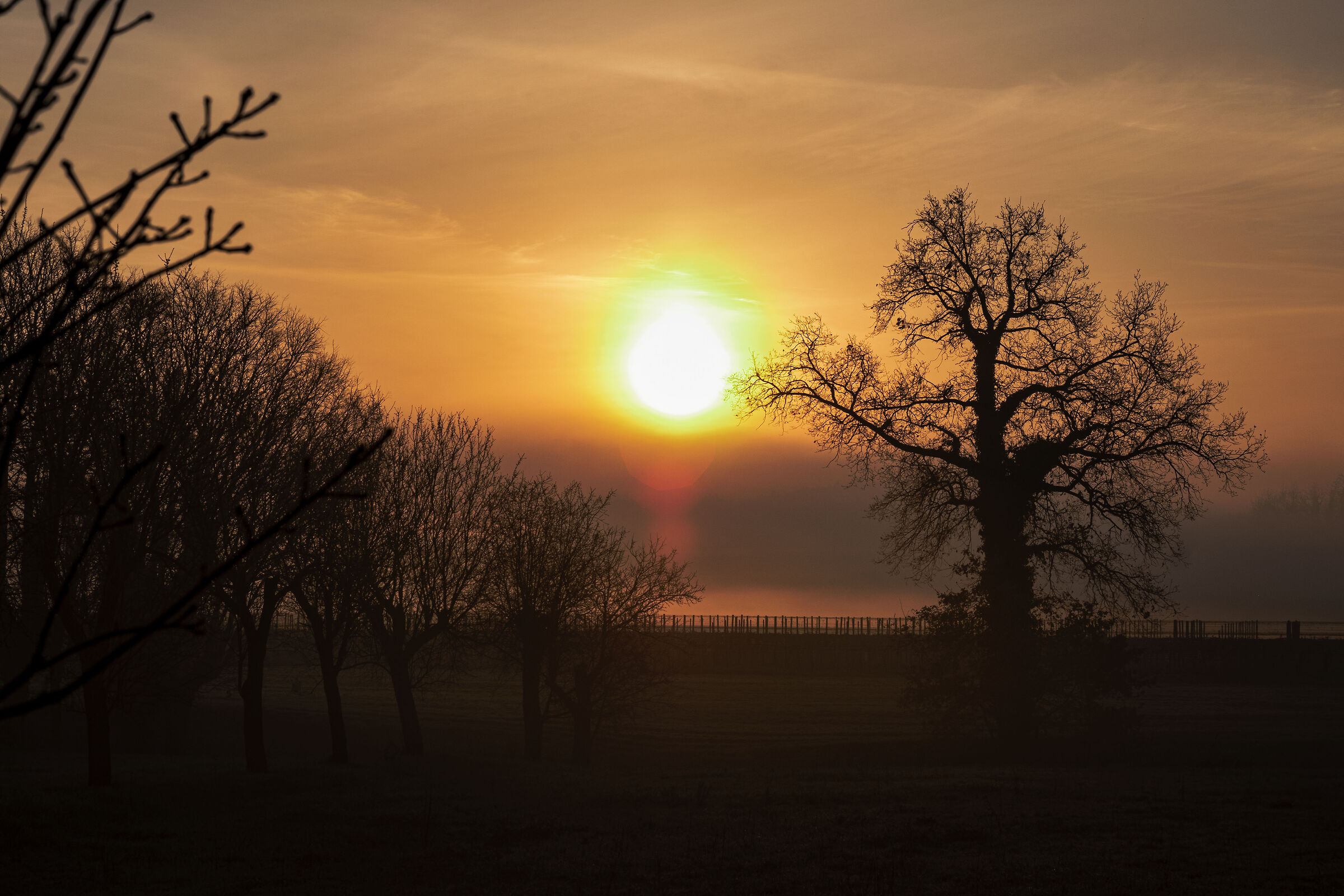 Untitled Photo