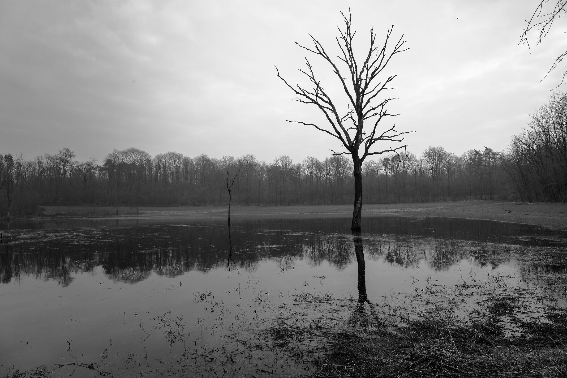 Lagozza di Centenate di Besnate