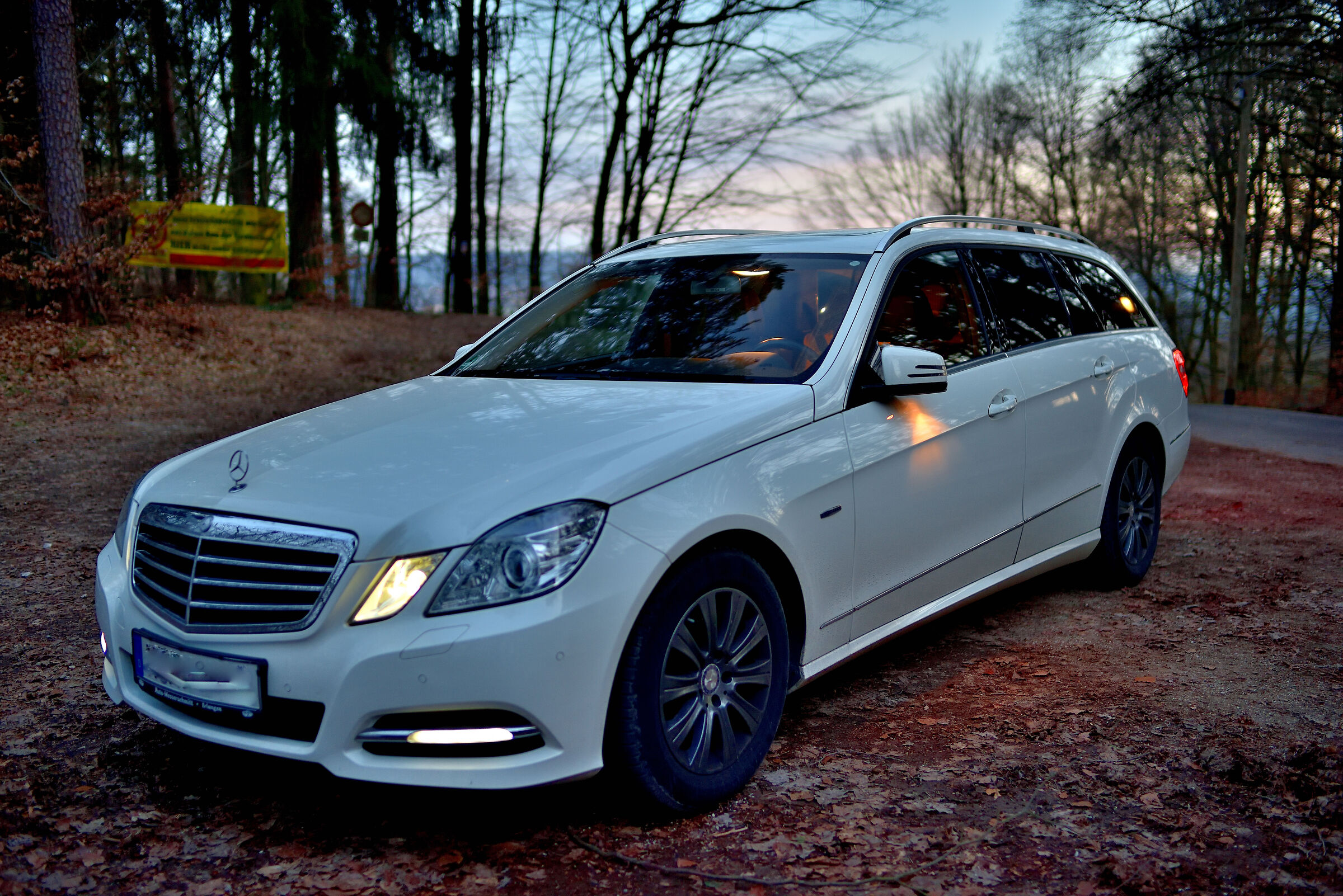 Vernice, Pelle, Lamiera