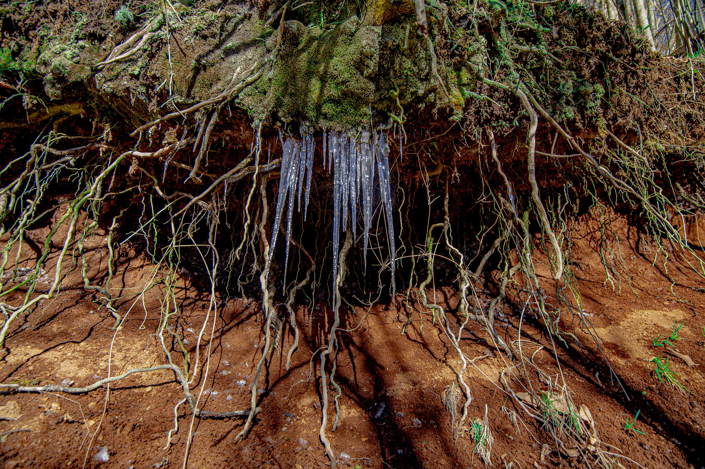 il sorriso della natura