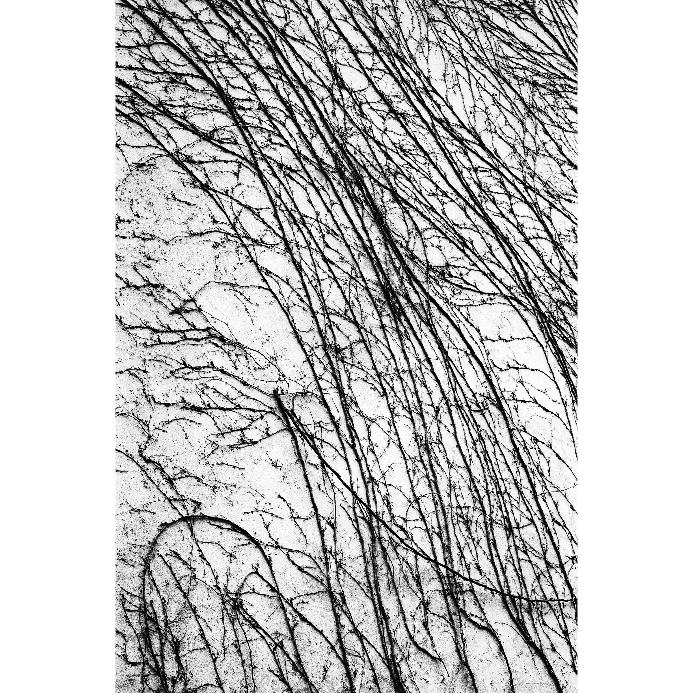 Untitled Photo