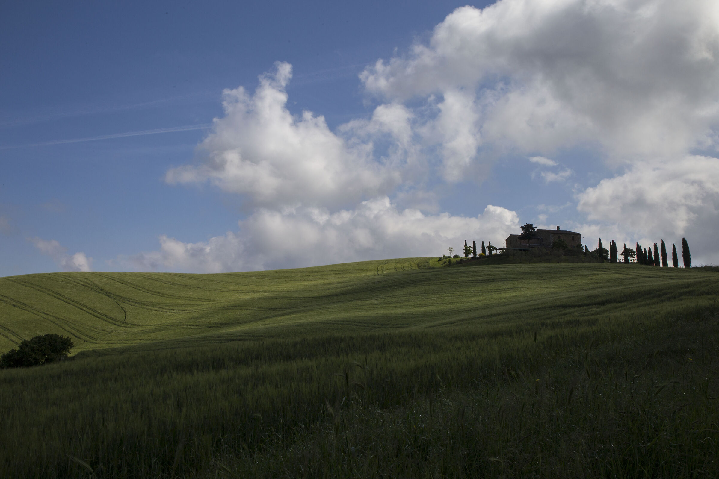sarteano. casa panata
