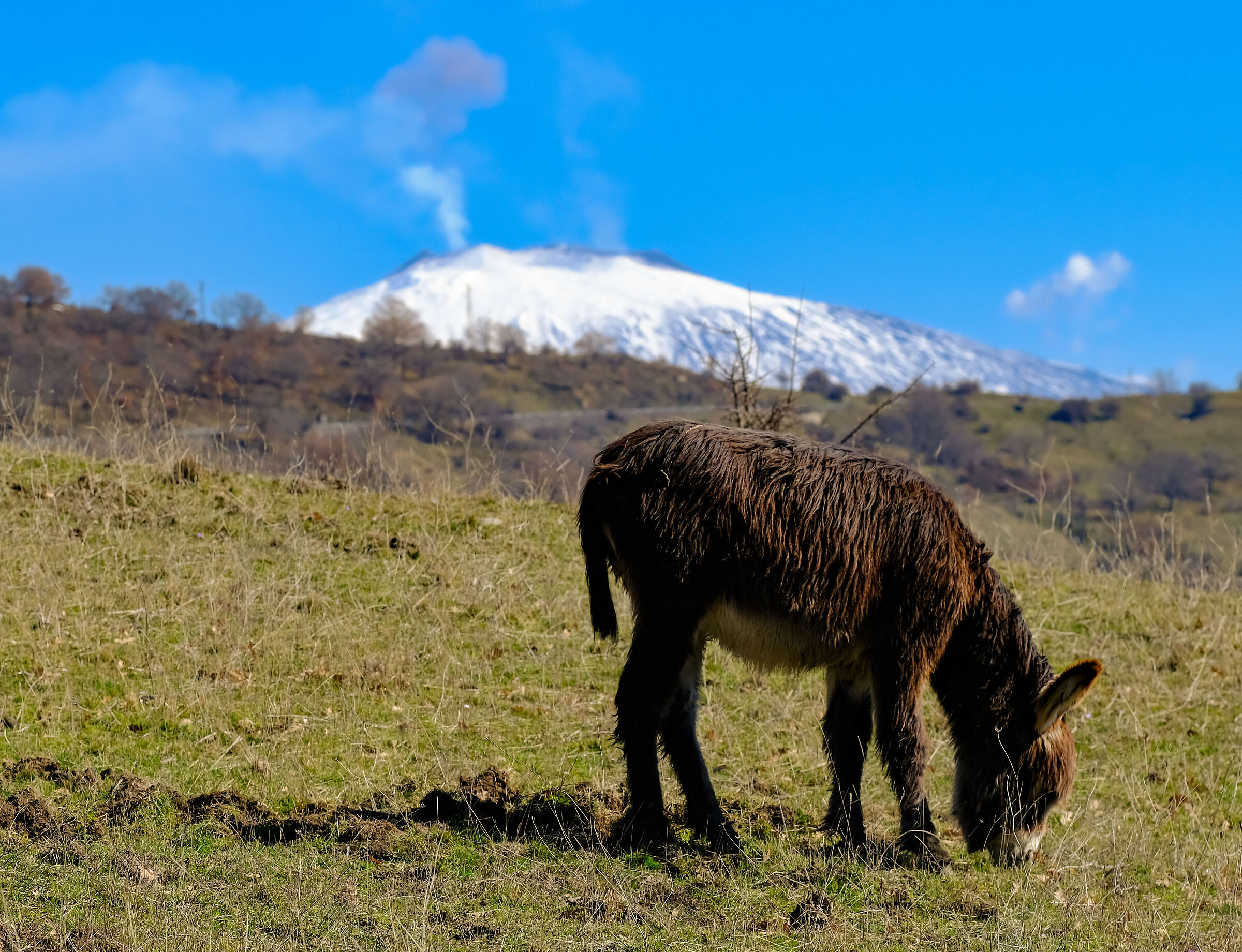 landscapes of Sicily