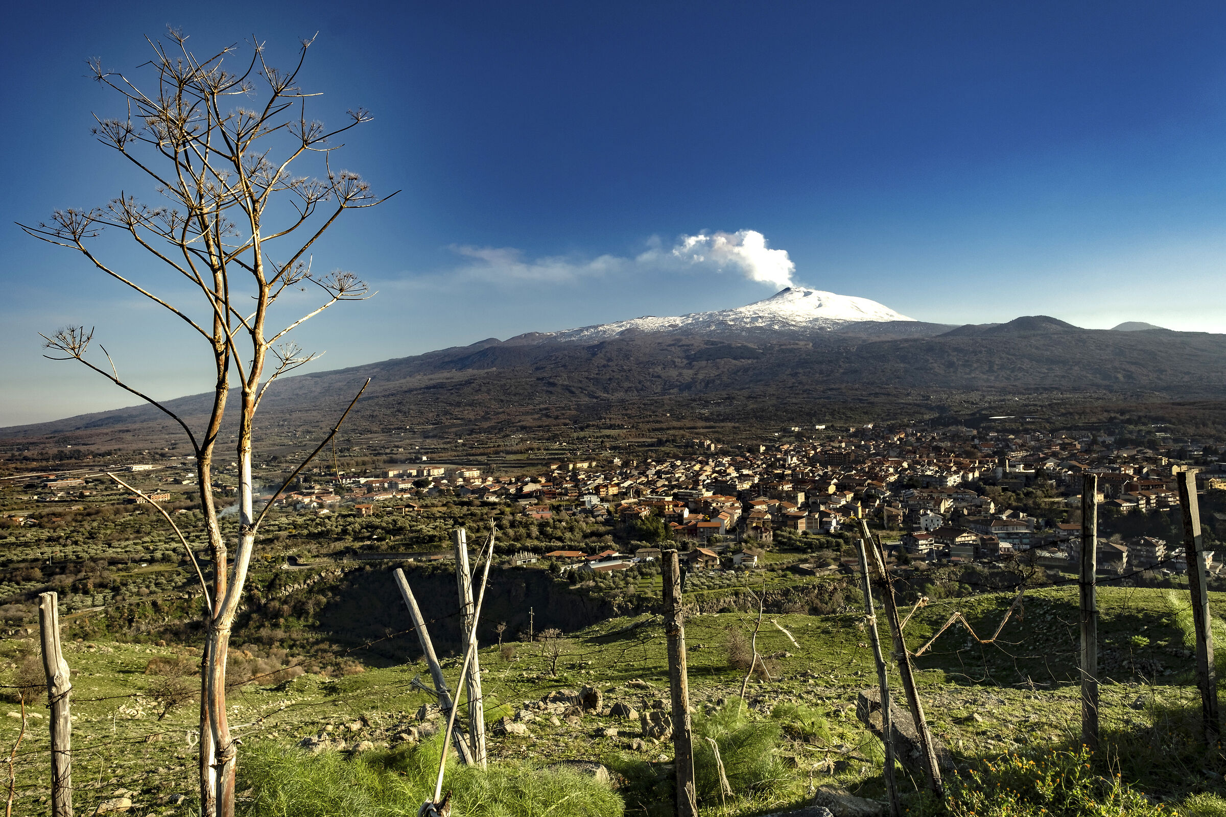 Randazzo e il suo "gigante"