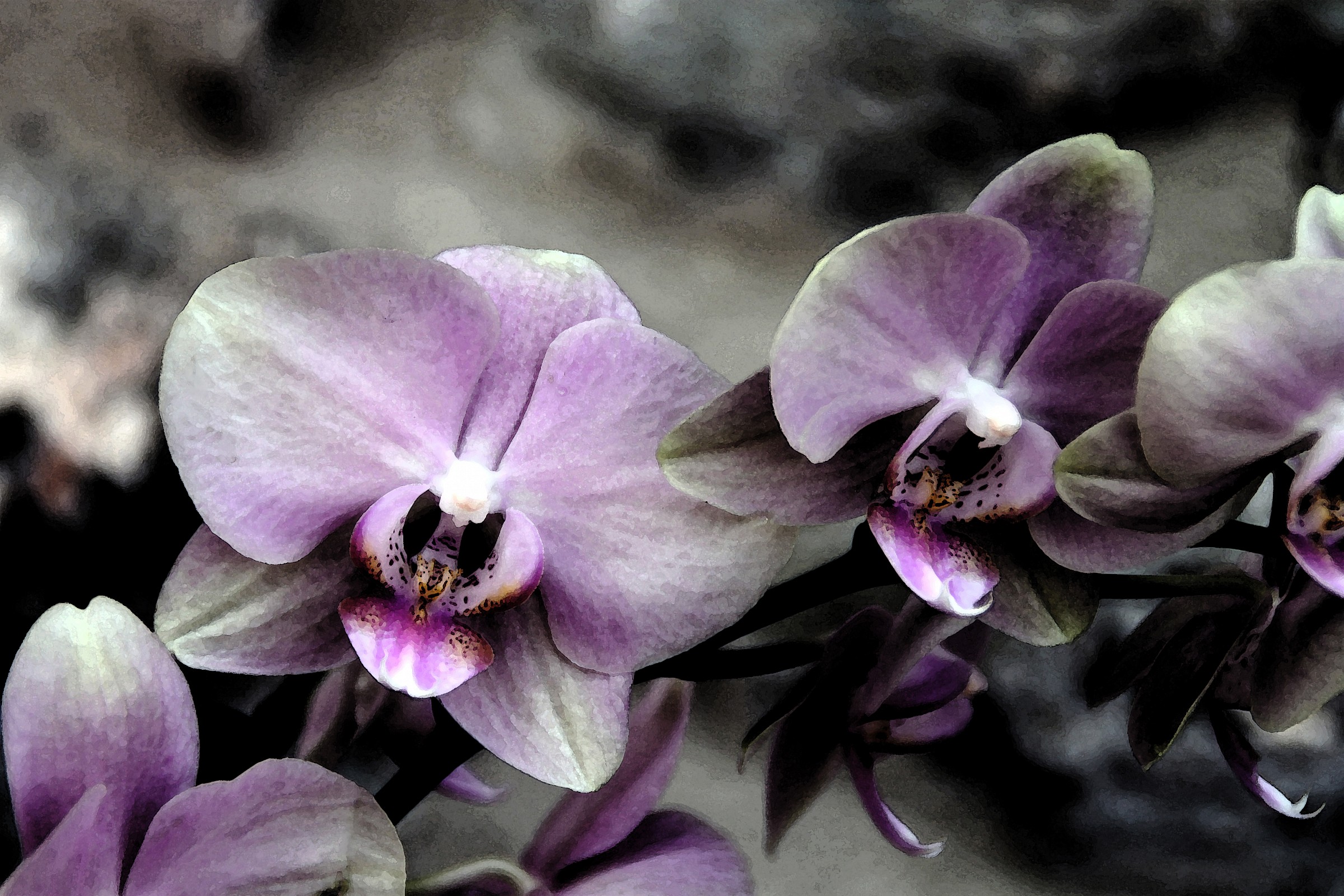 Orchids watercolor effect