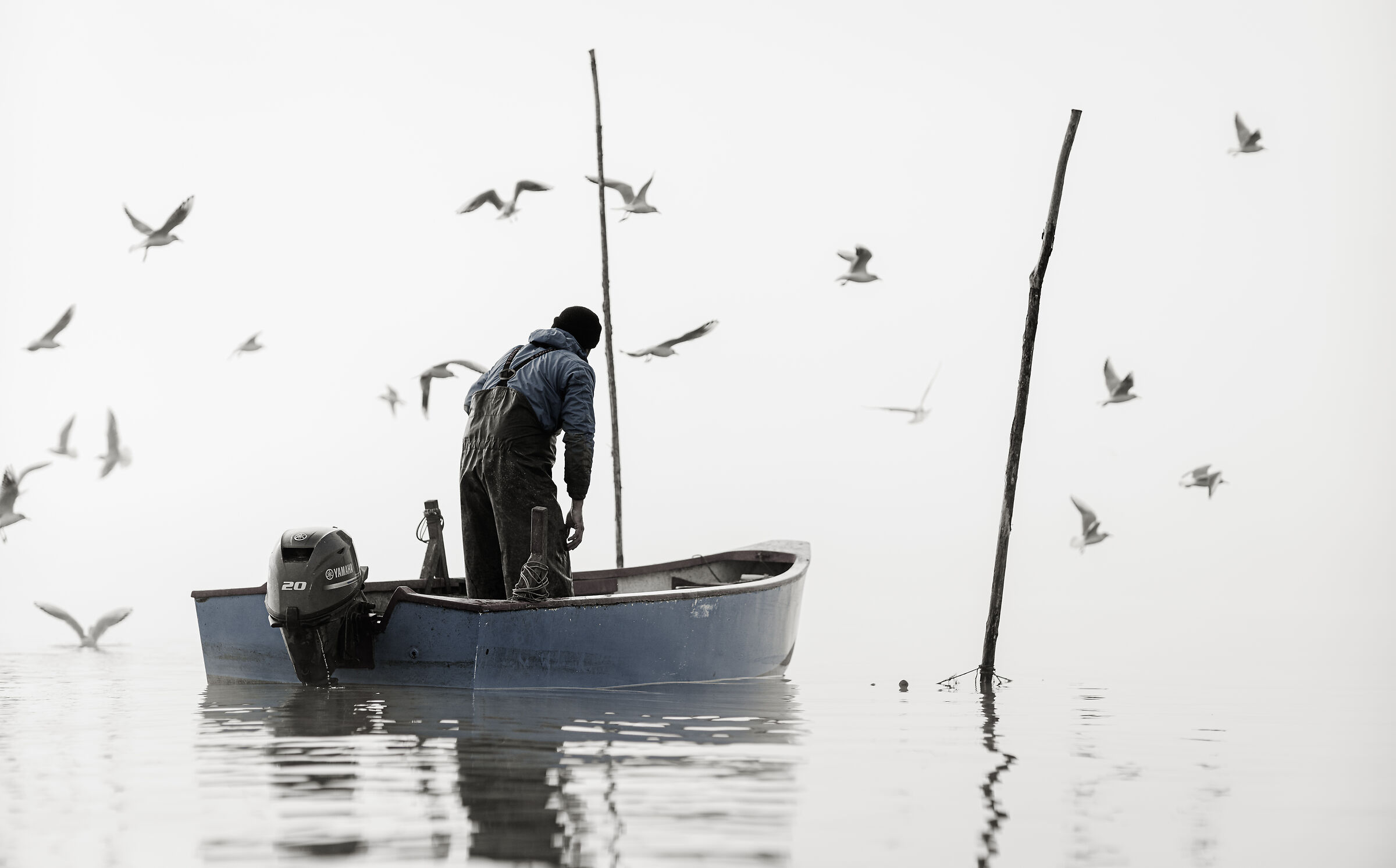 " In nessun luogo e ovunque "