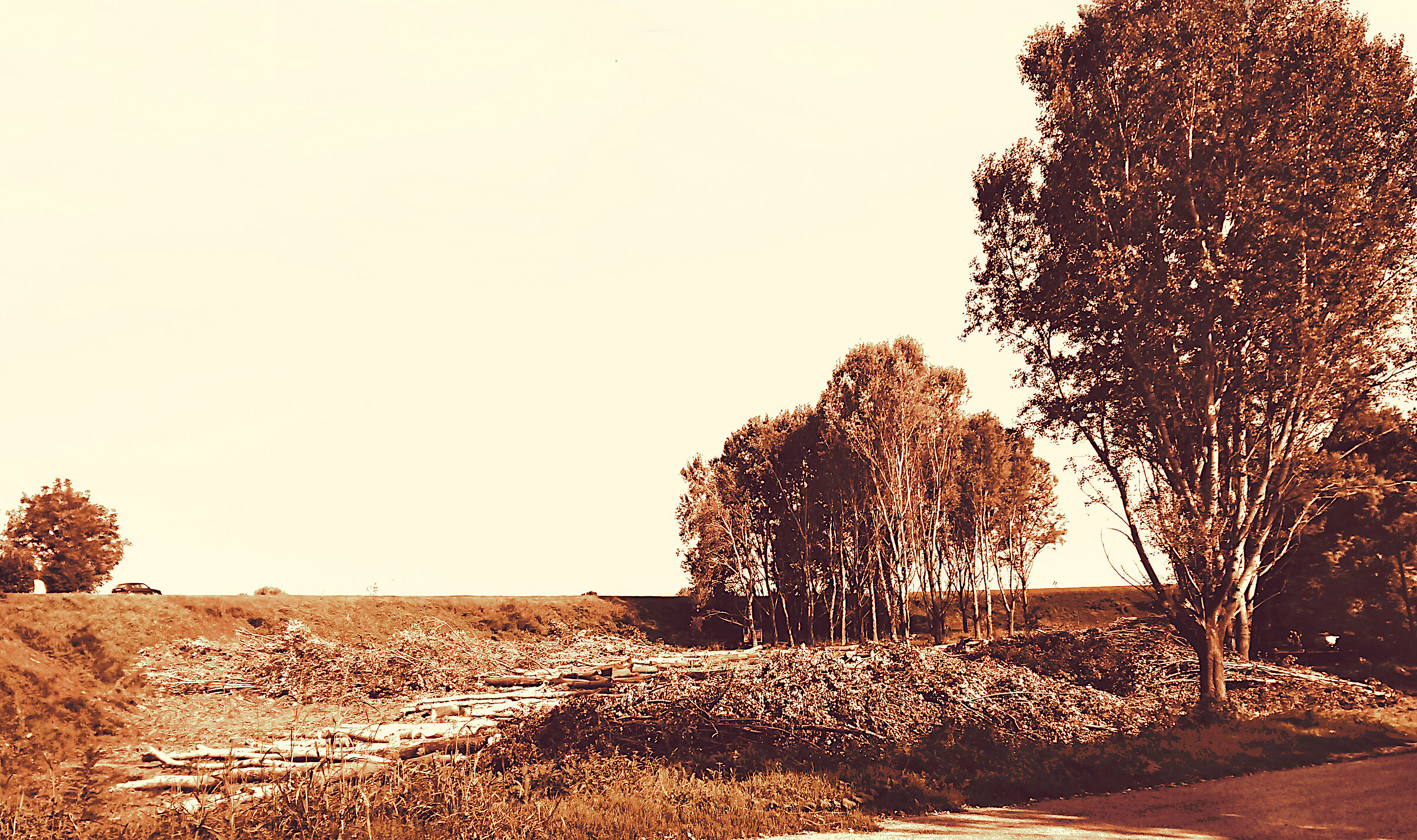 Gli Uccelli E Le Lepri Ringraziano