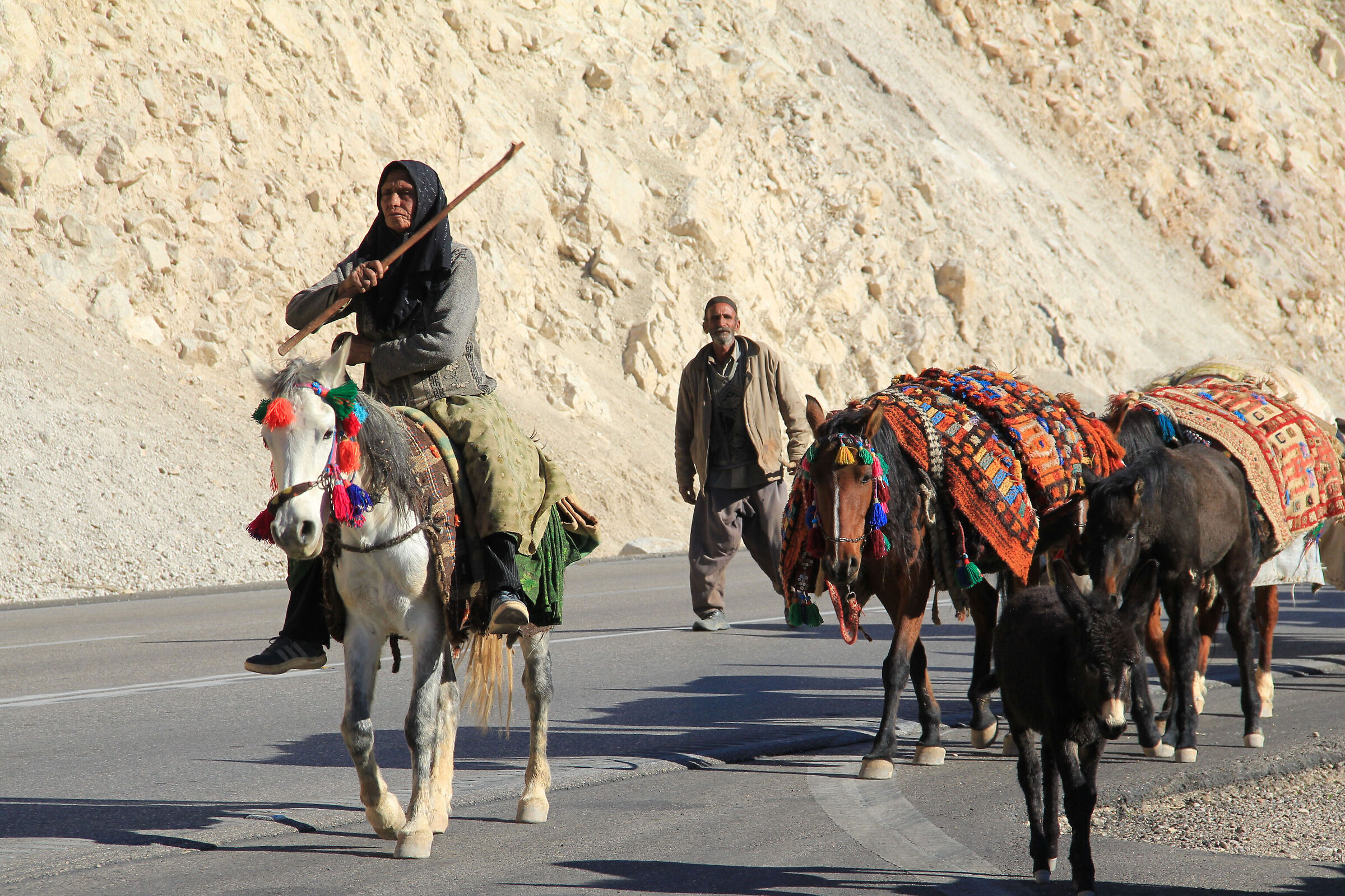 Nomadic family qashqa'i in migration