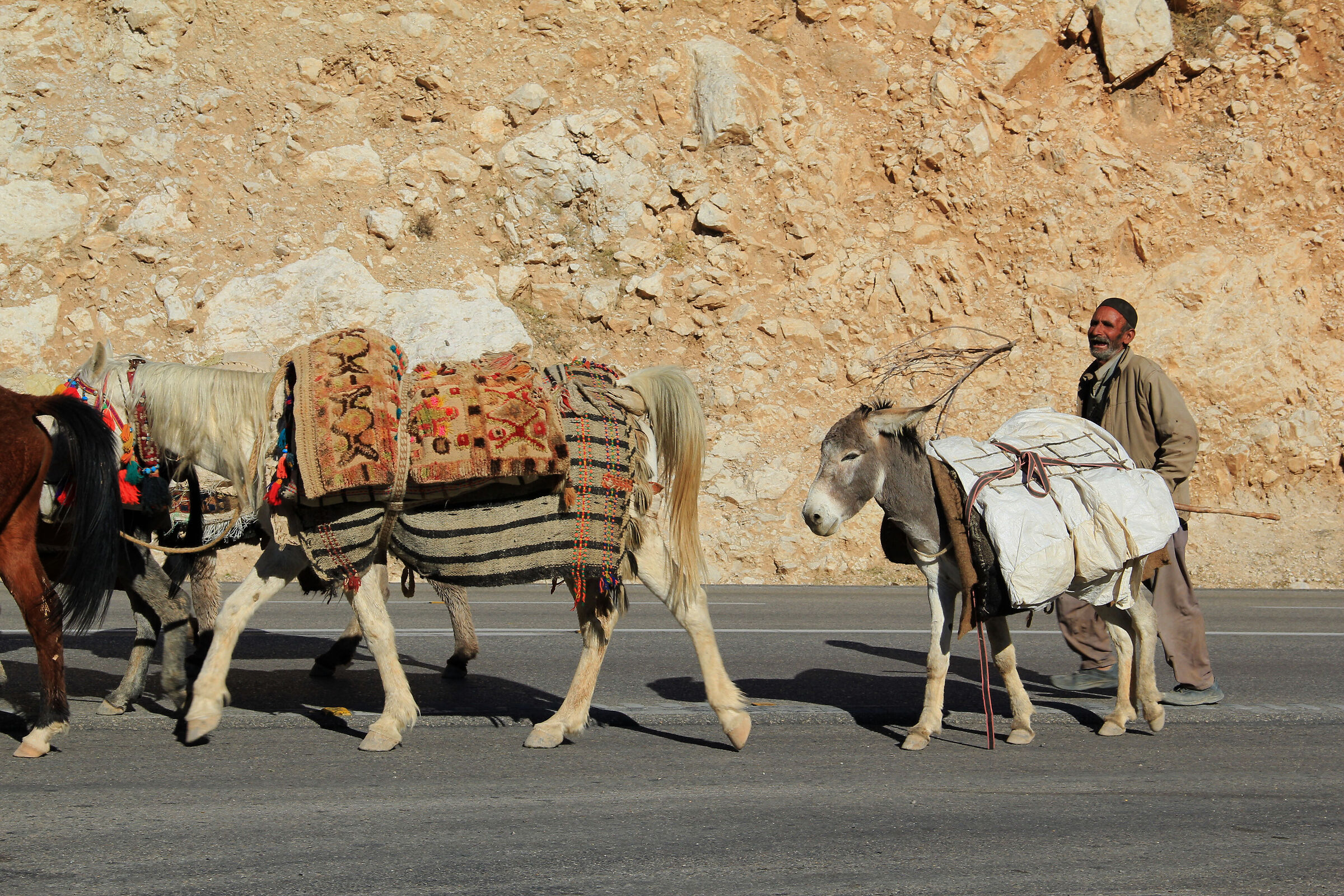 Nomadic family in migration