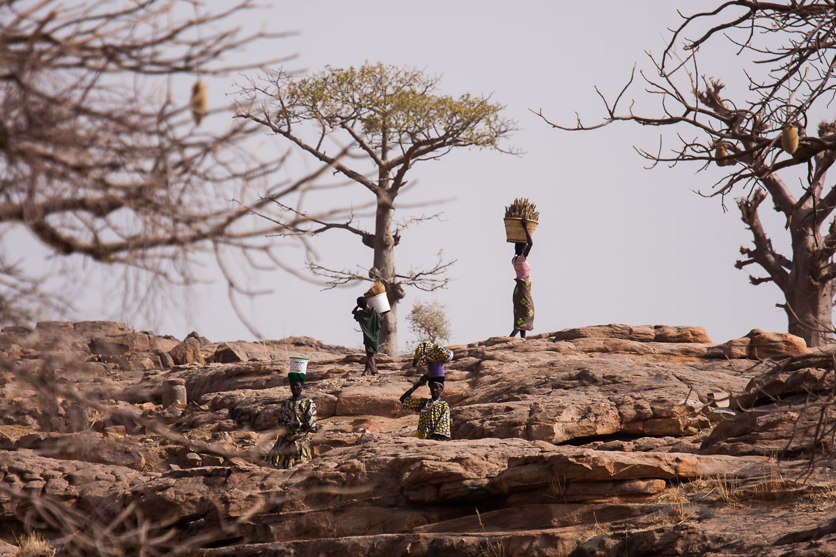 Pays Dogon - Mali