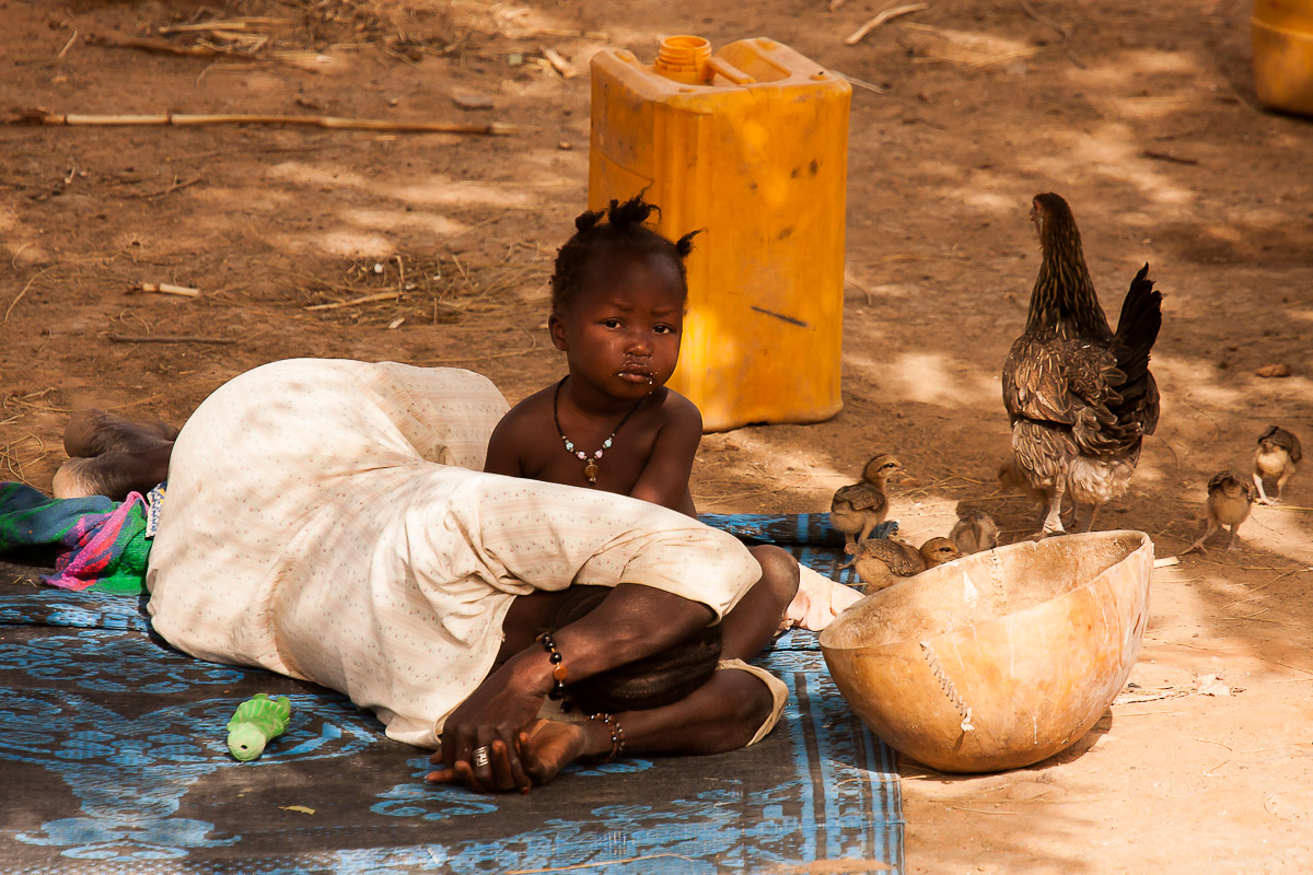 Mamme con i loro cuccioli - Pays Dogon - Mali