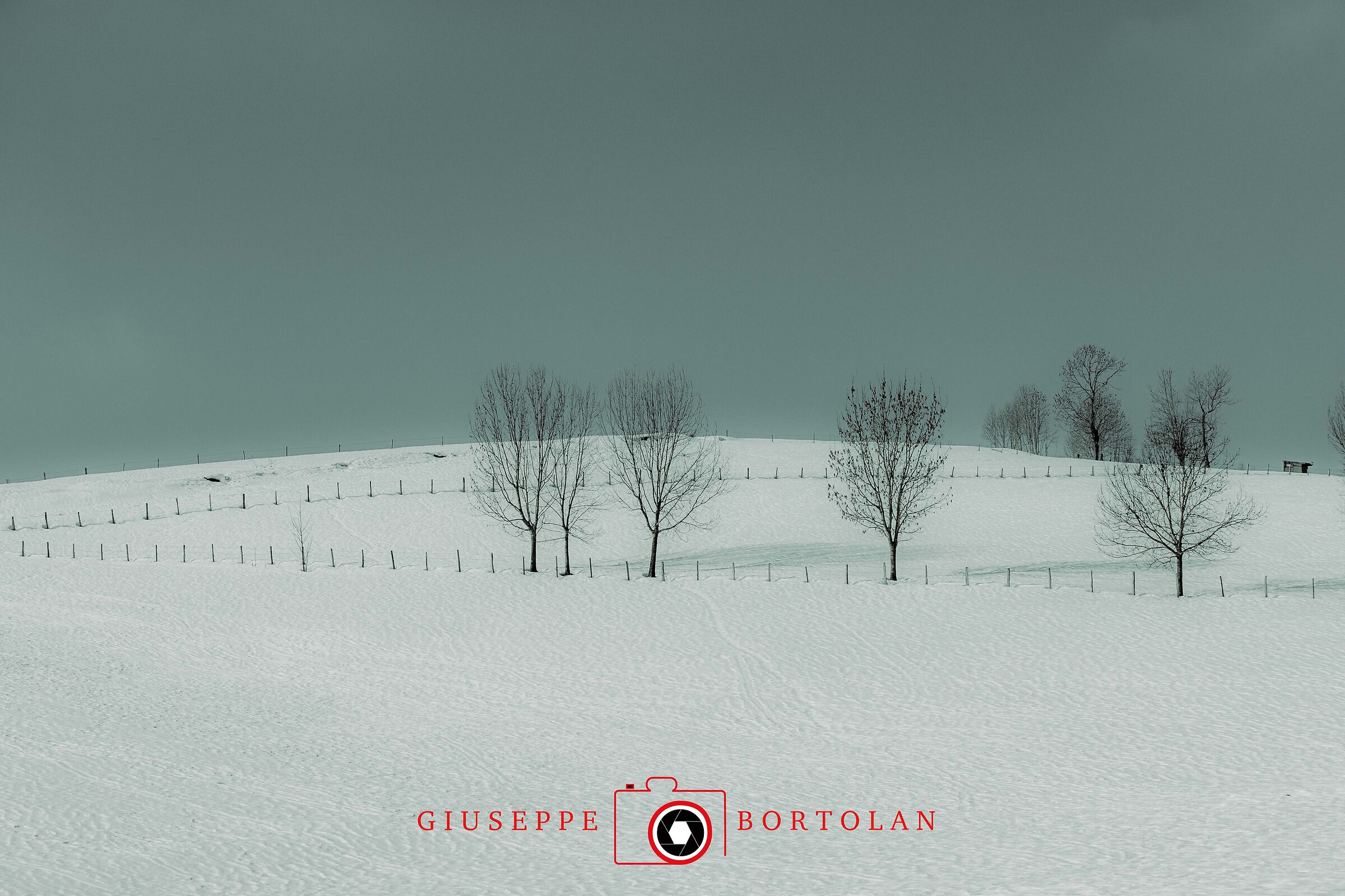 The Arrival of the Cold