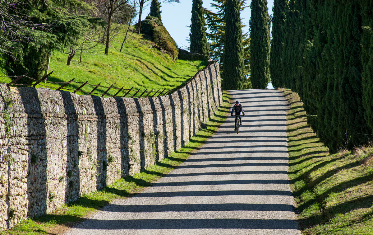 I cipressi di San Salvatore
