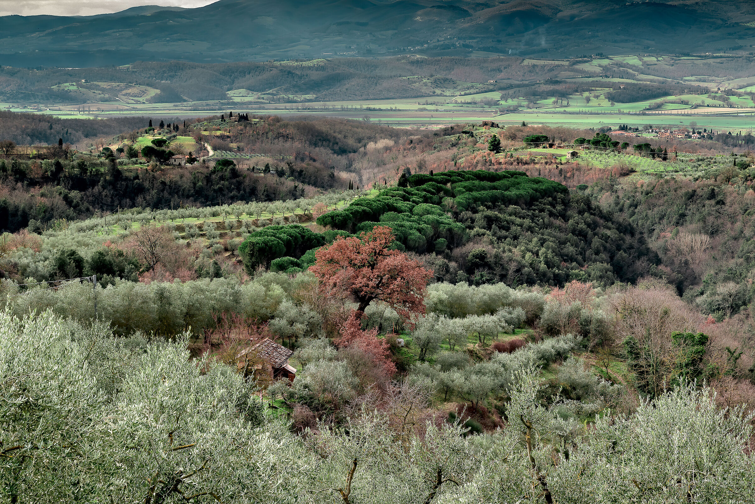 paesaggio da citta' della pieve verso la toscana