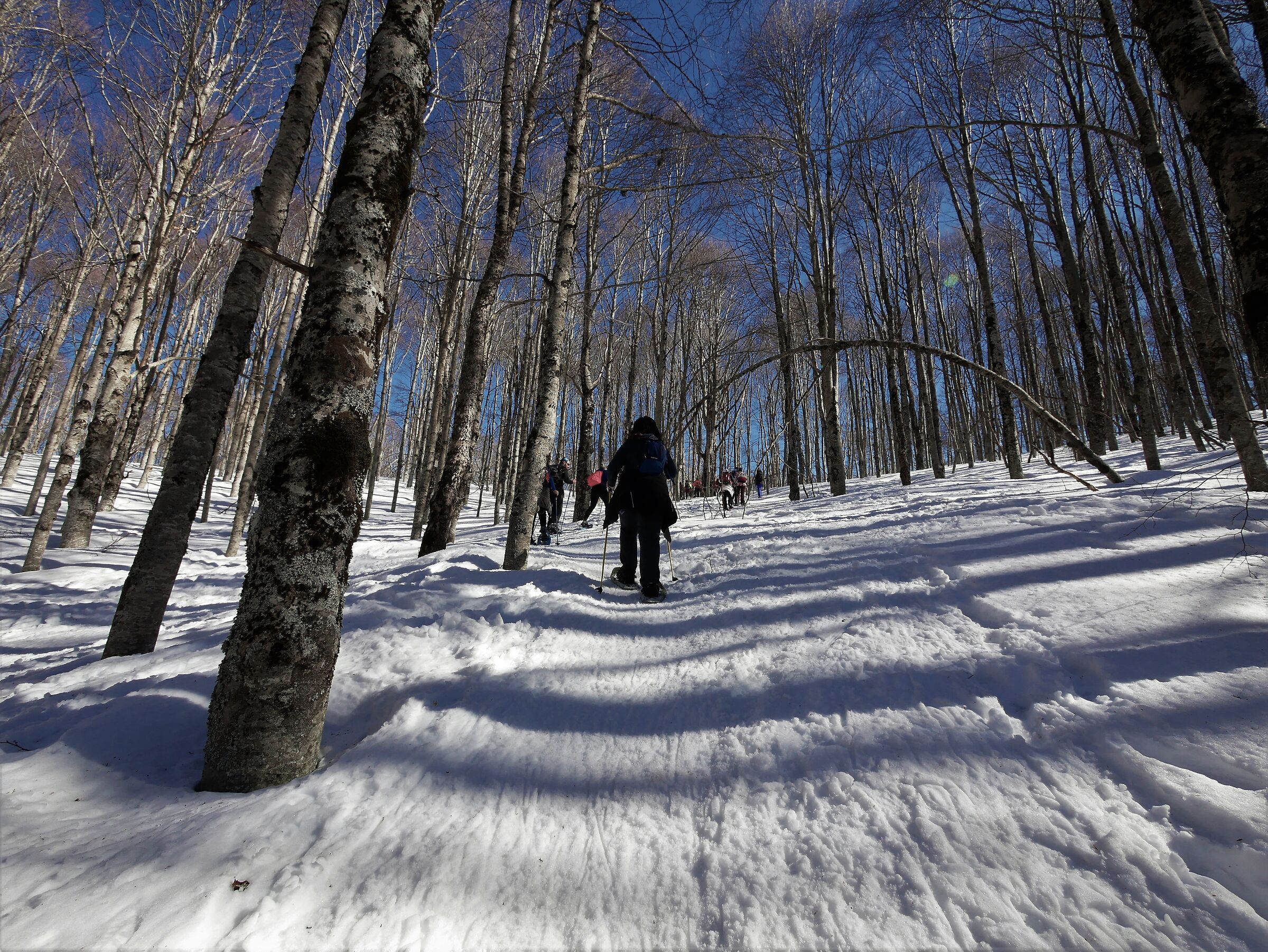 snowshoeing with friends