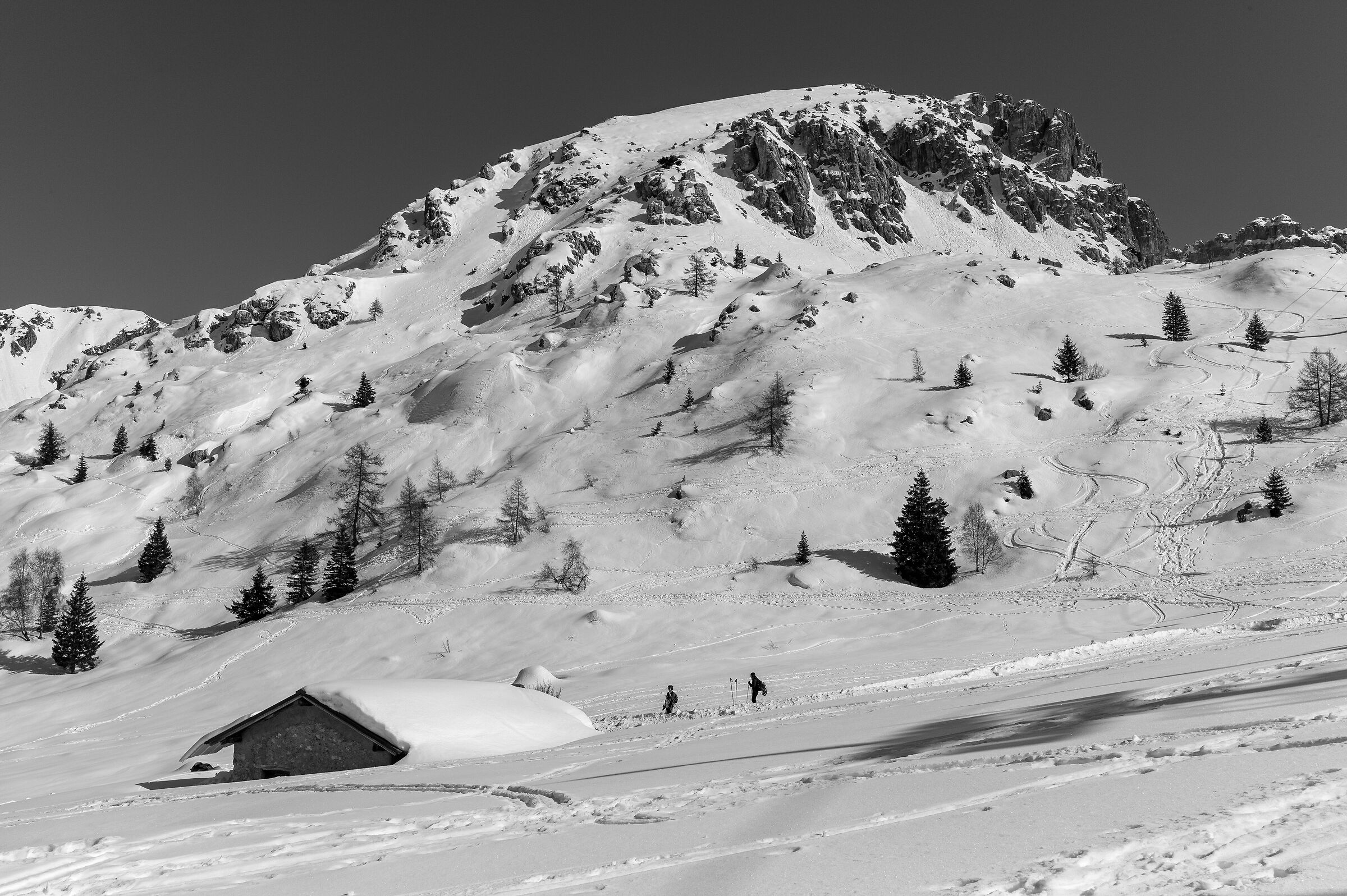 Don't stay at home today!