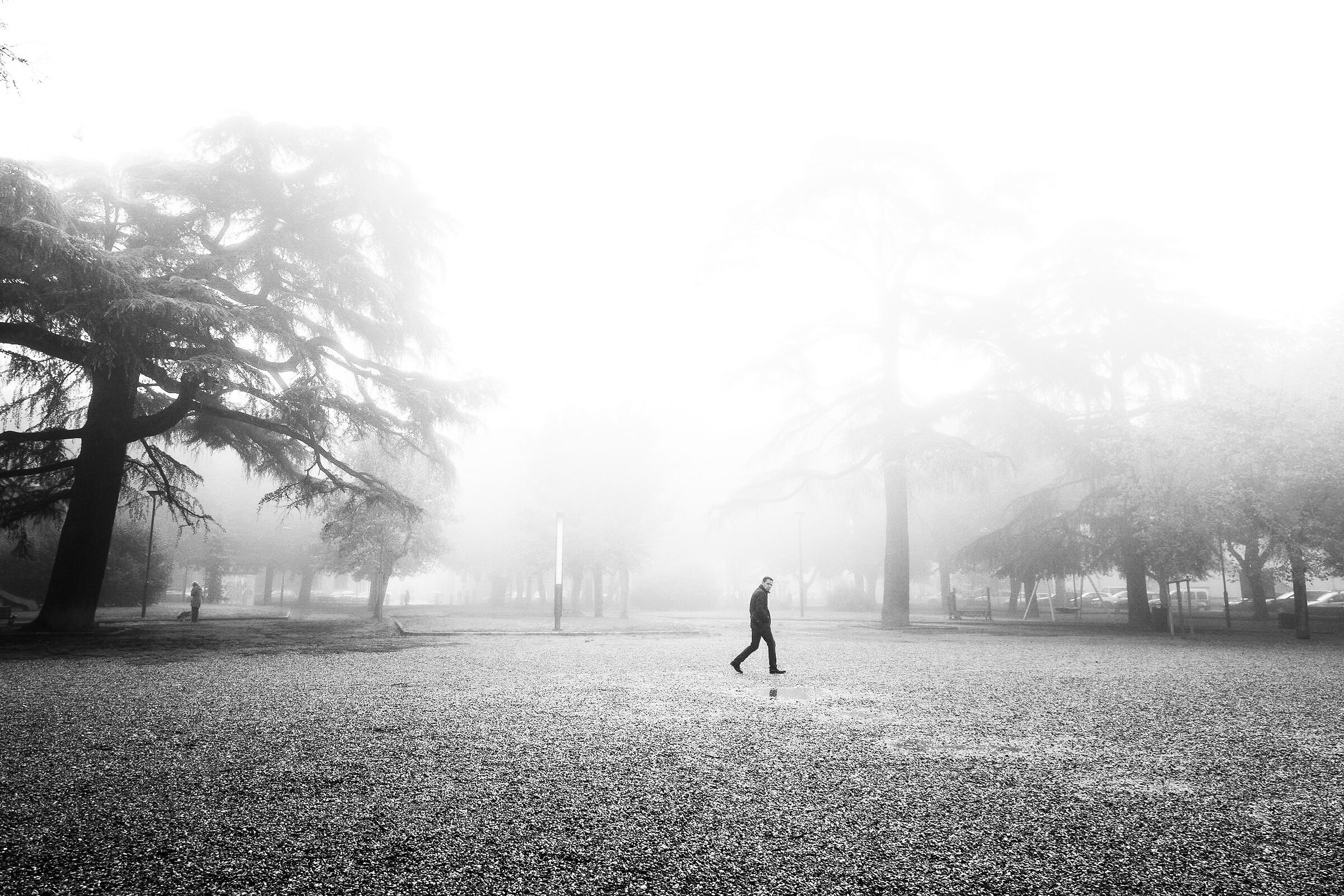 In the Fog