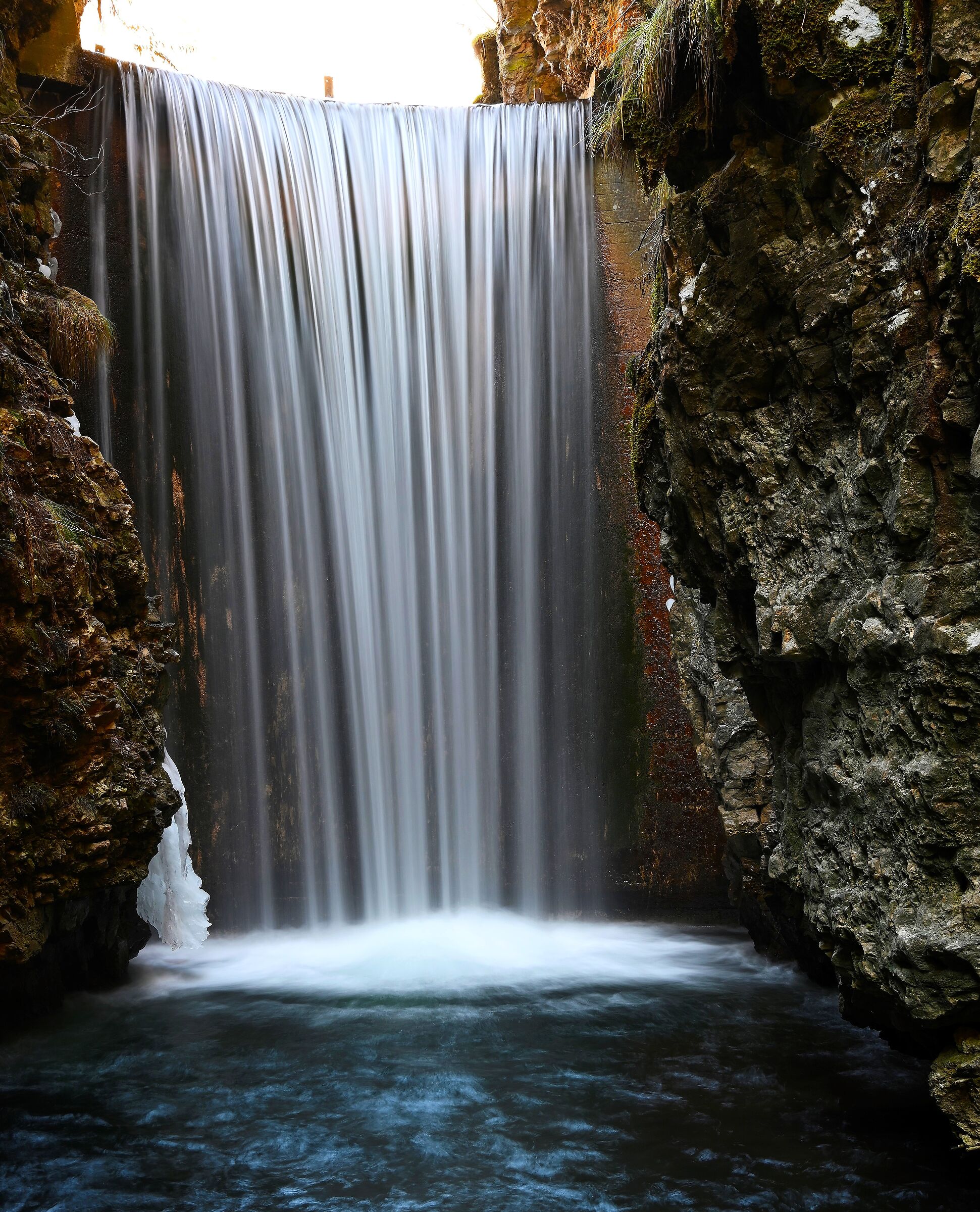 Appearance and walk .....