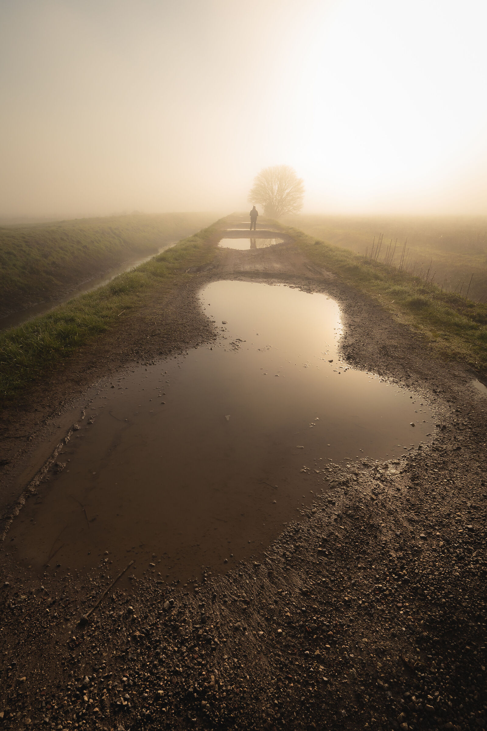 Il giorno dopo la pioggia