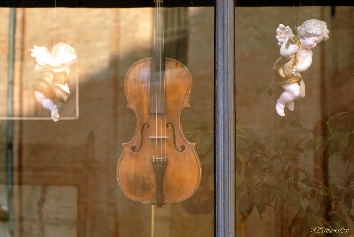 Cremona Violin =
