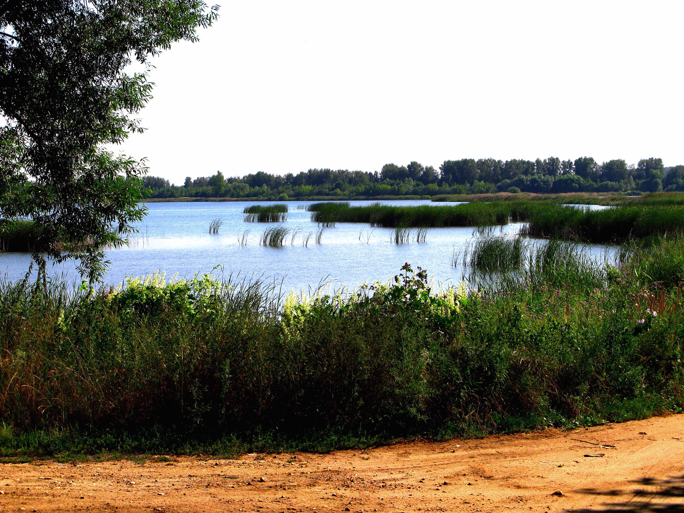 Ricorda la via d'uscita dall'Eden
